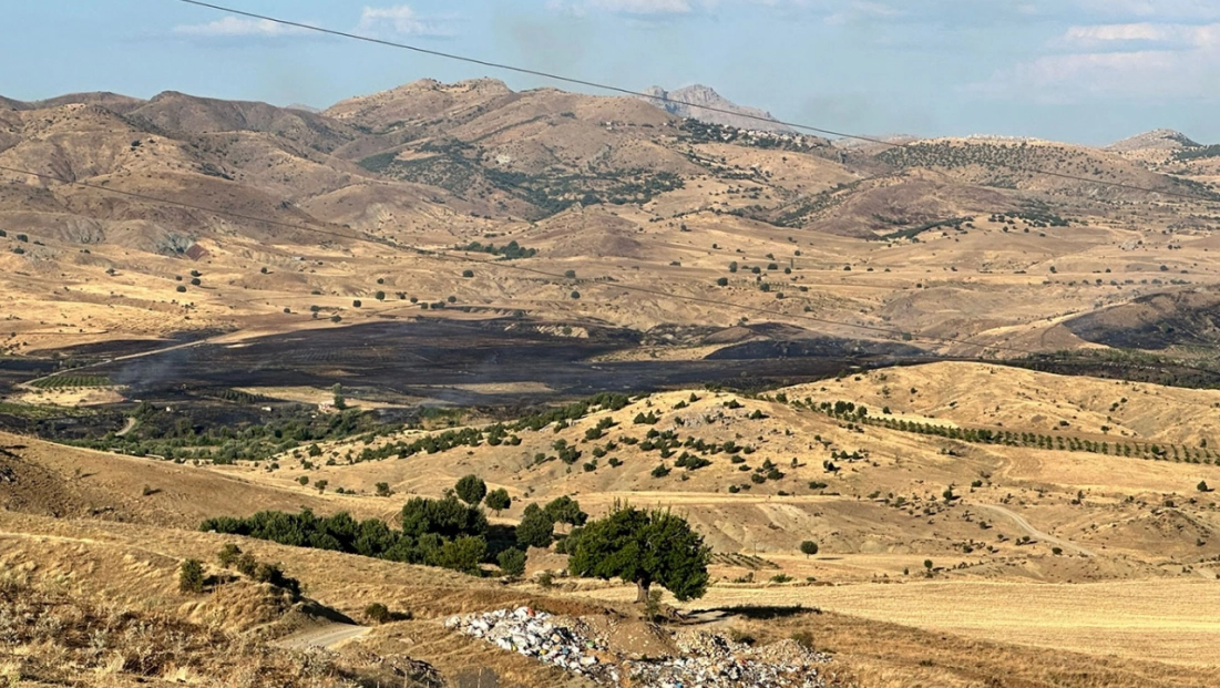 Diyarbakır-Elazığ sınırında çıkan tarla yangını güçlükle söndürüldü