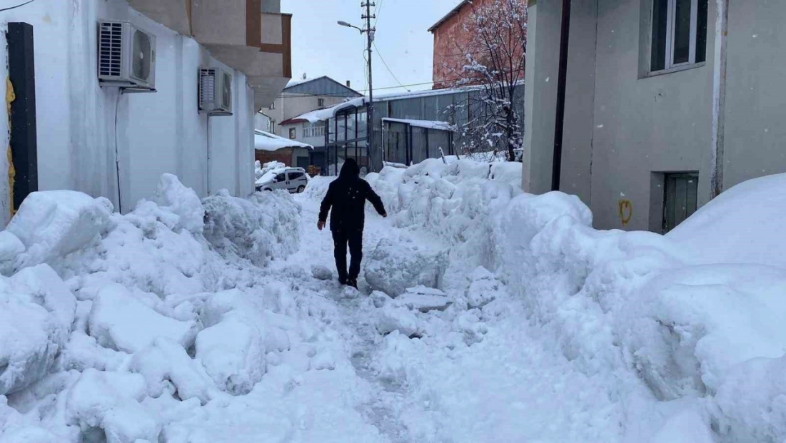 Karlıova'da 40 gündür süren kar yağışı hayatı zorlaştırıyor