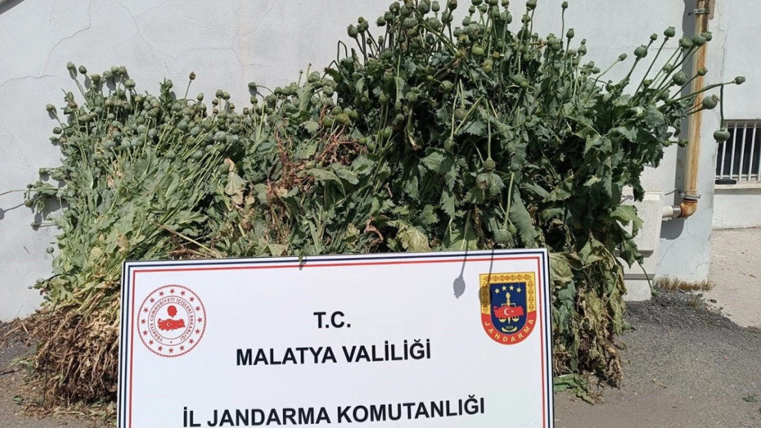 18'i kesinleşmiş hapis cezası bulunan 30 kişi yakalandı