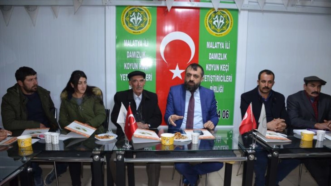 Malatya'da 'koyun kırkım elemanı' yetiştirilecek