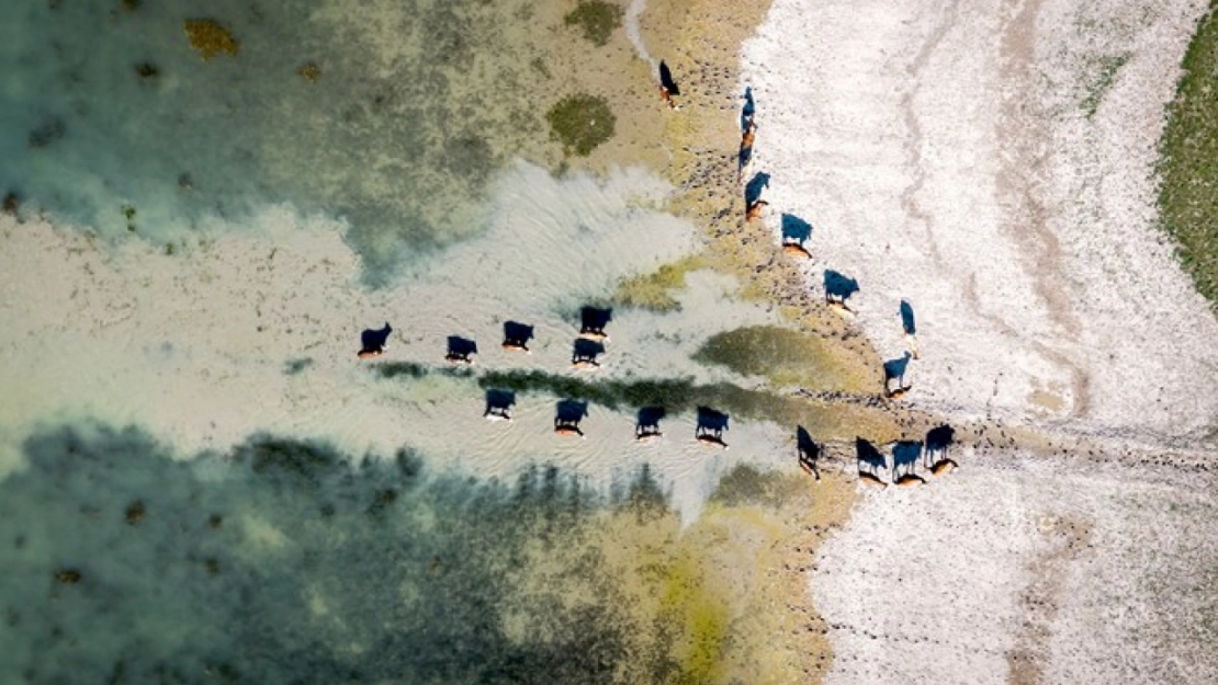 Karakaya Barajı'nda Su Seviyesi Alarm Veriyor: Eski Yerleşimler Ortaya Çıktı