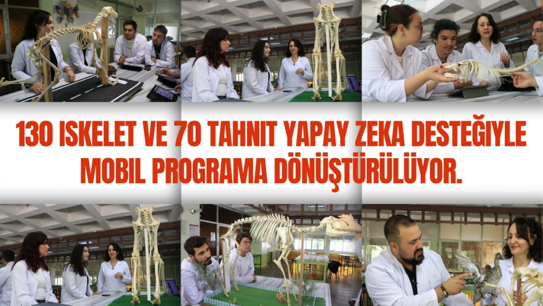 Tarihle Teknoloji Buluştu: Hayvan İskeletleri Yapay Zekâyla Dijitale Taşınıyor