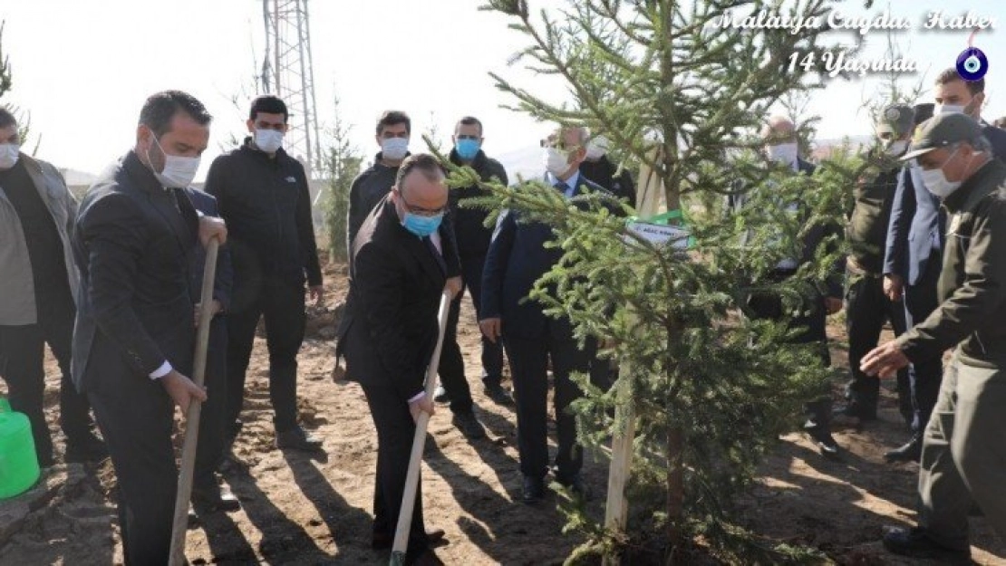 Vali Yırık Elazığımızın her yerini ağaçlandıracağız