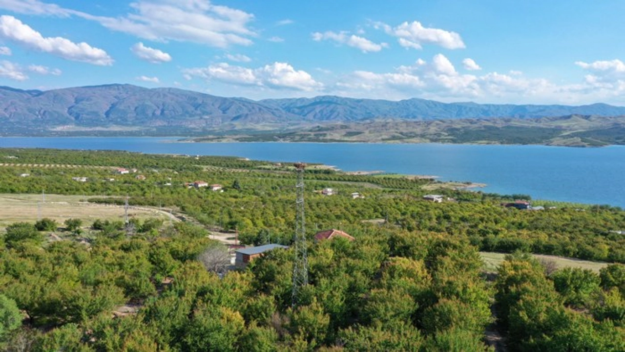 Leylek 'Narin' Karakaya Baraj Gölü'nün simgesi oldu