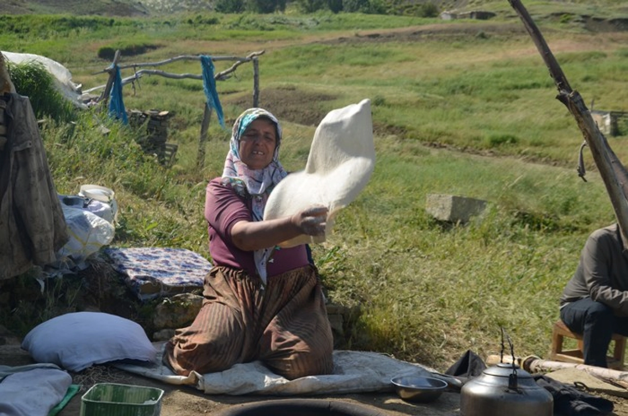 Muş'ta besicilerin yayla mesaisi başladı
