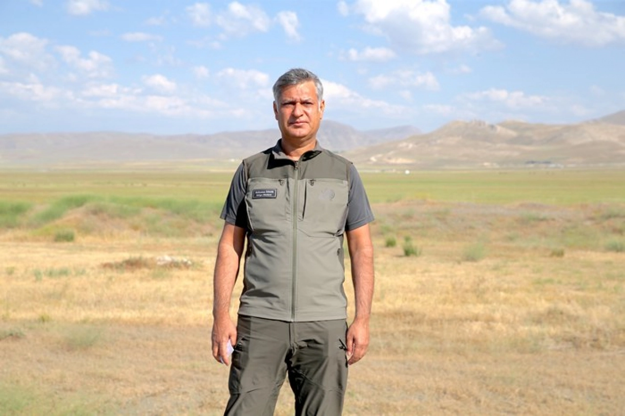 Tedavisi tamamlanan toy kuşu doğaya salındı