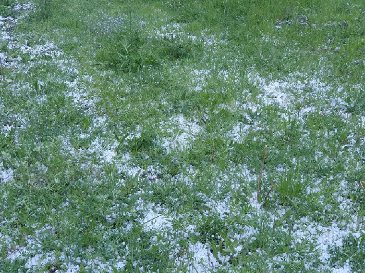 Erzurum ve Ardahan'da dolu ve sağanak etkili oldu