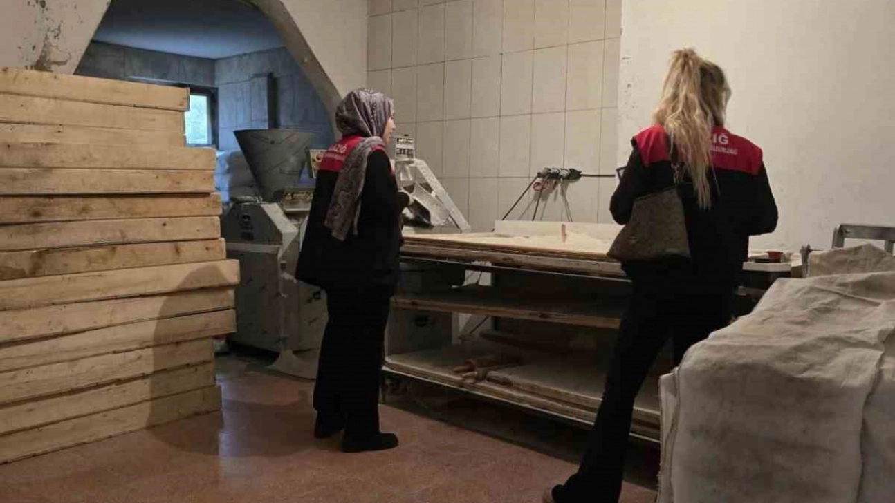 Arıcak'ta gıda güvenliği denetimleri sürüyor