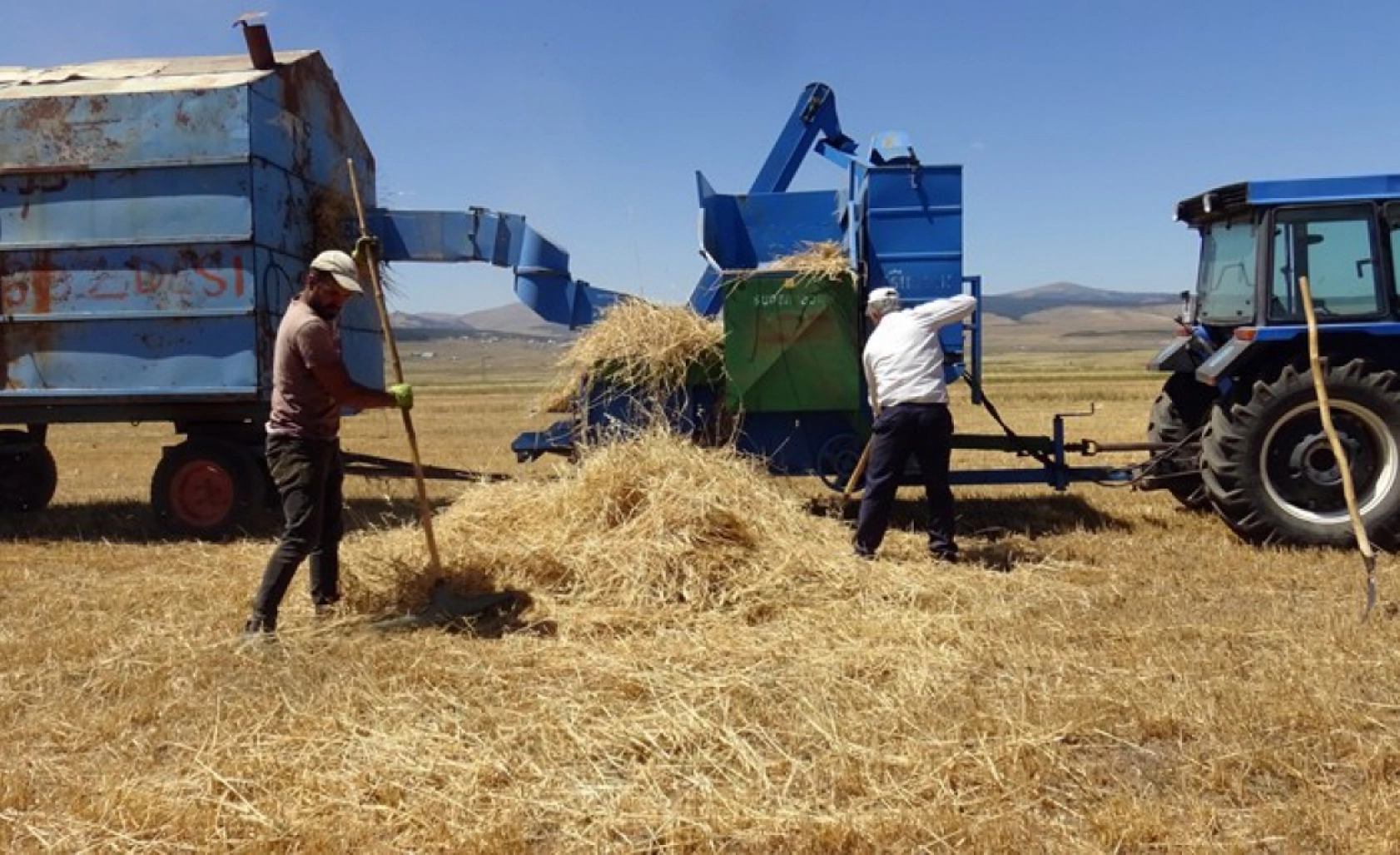 Sarıkamış'ta Çiftçiler Biçerdöver ve At Tırmığıyla Hasatta
