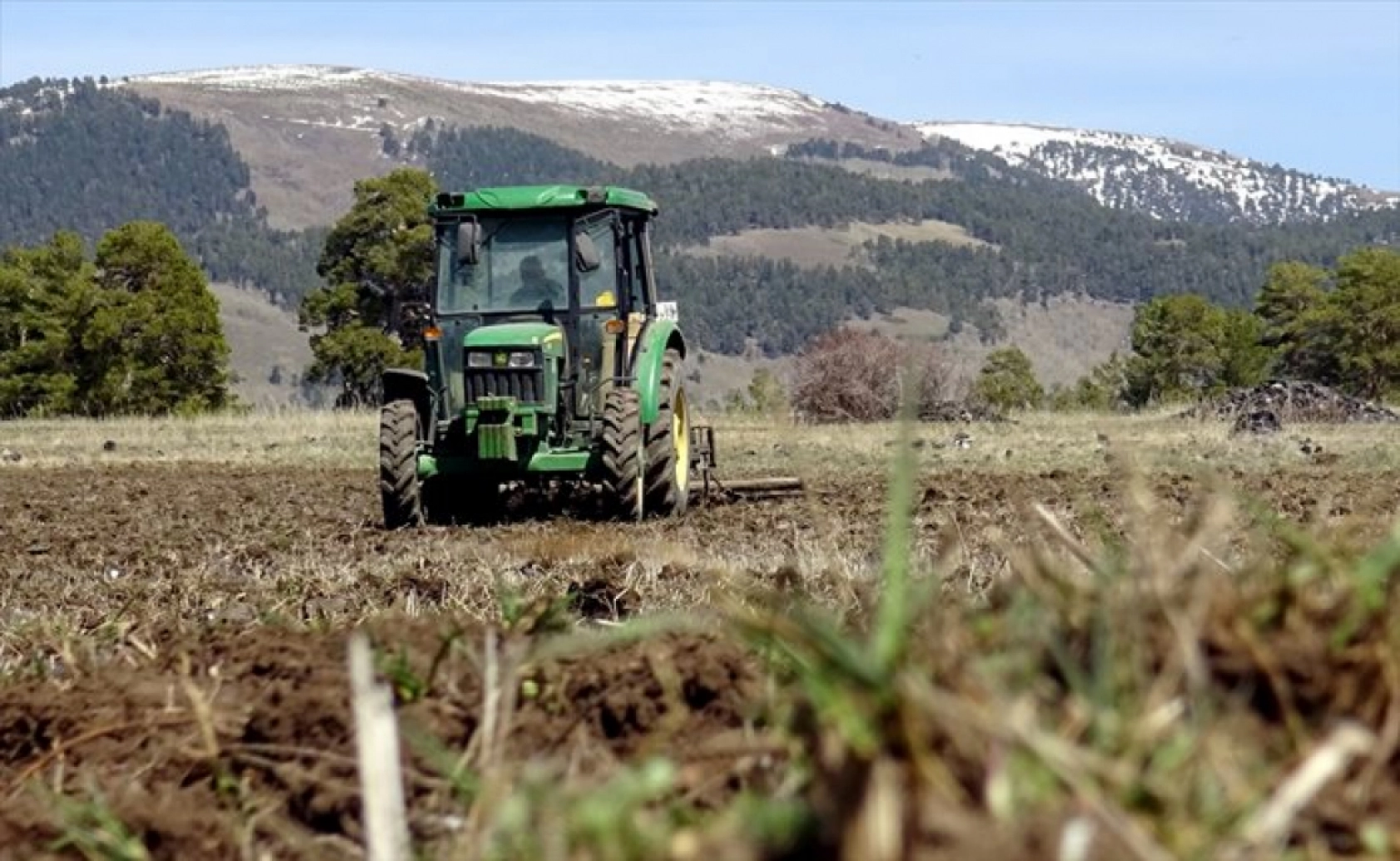 Havaların ısınmasıyla Sarıkamış'ta baharın güzellikleri ortaya çıktı