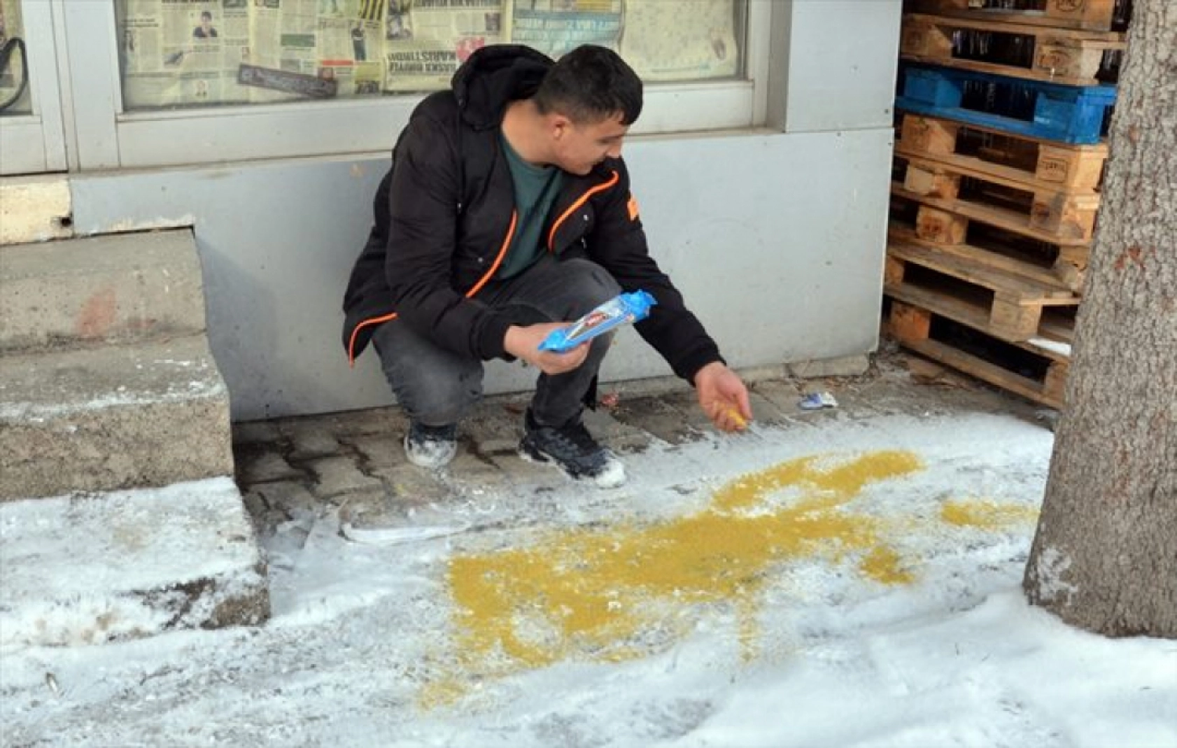 Erzurum, Kars ve Ardahan'da kar yağışı etkili oldu