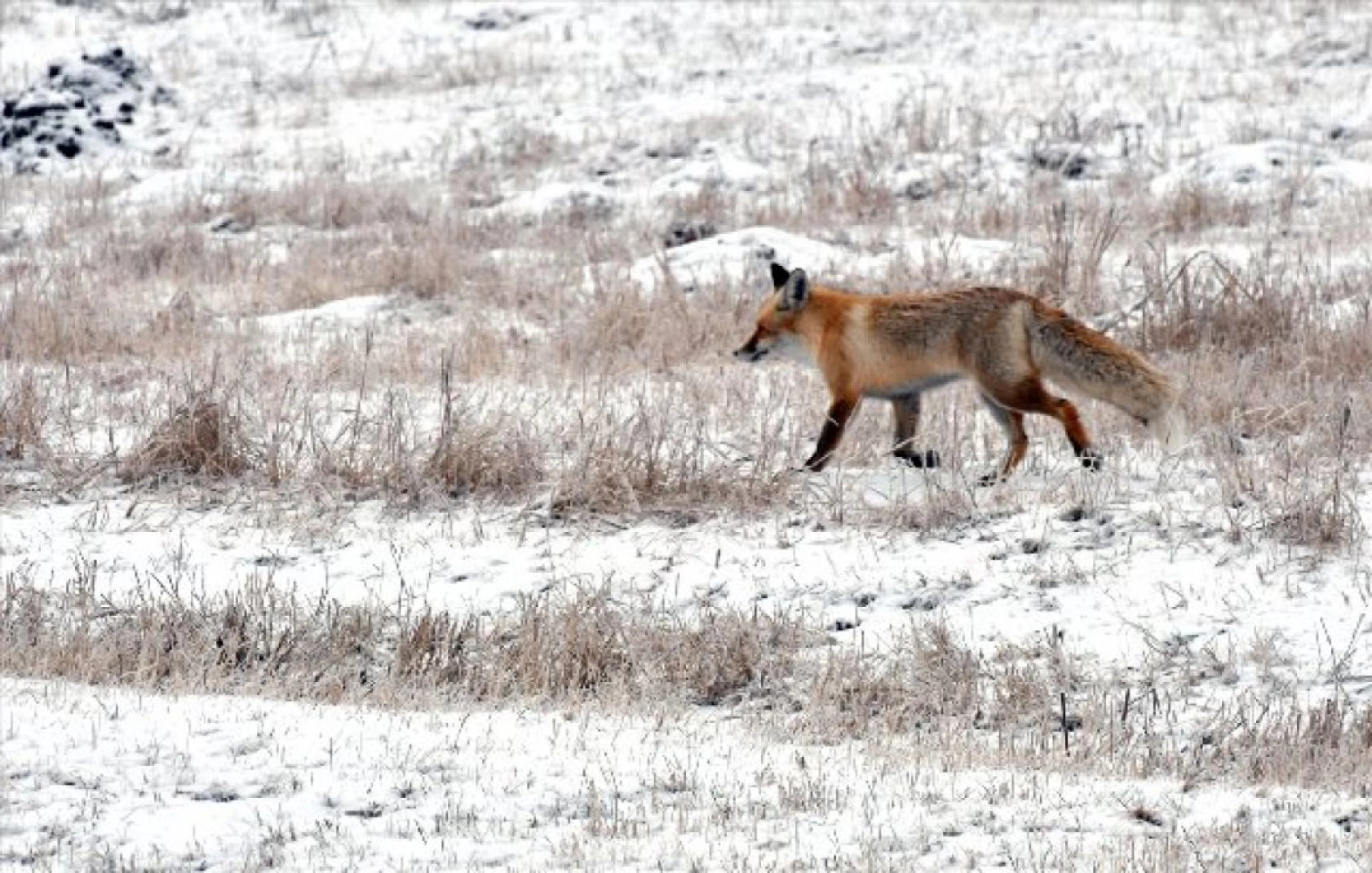 Termometrelerin eksi 22'yi gösterdiği Erzurum gece buz kesti