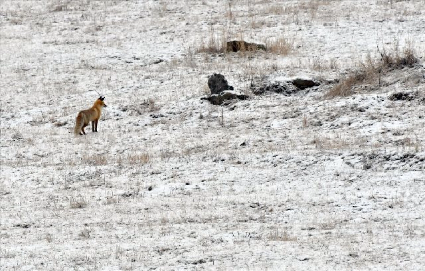 Termometrelerin eksi 22'yi gösterdiği Erzurum gece buz kesti