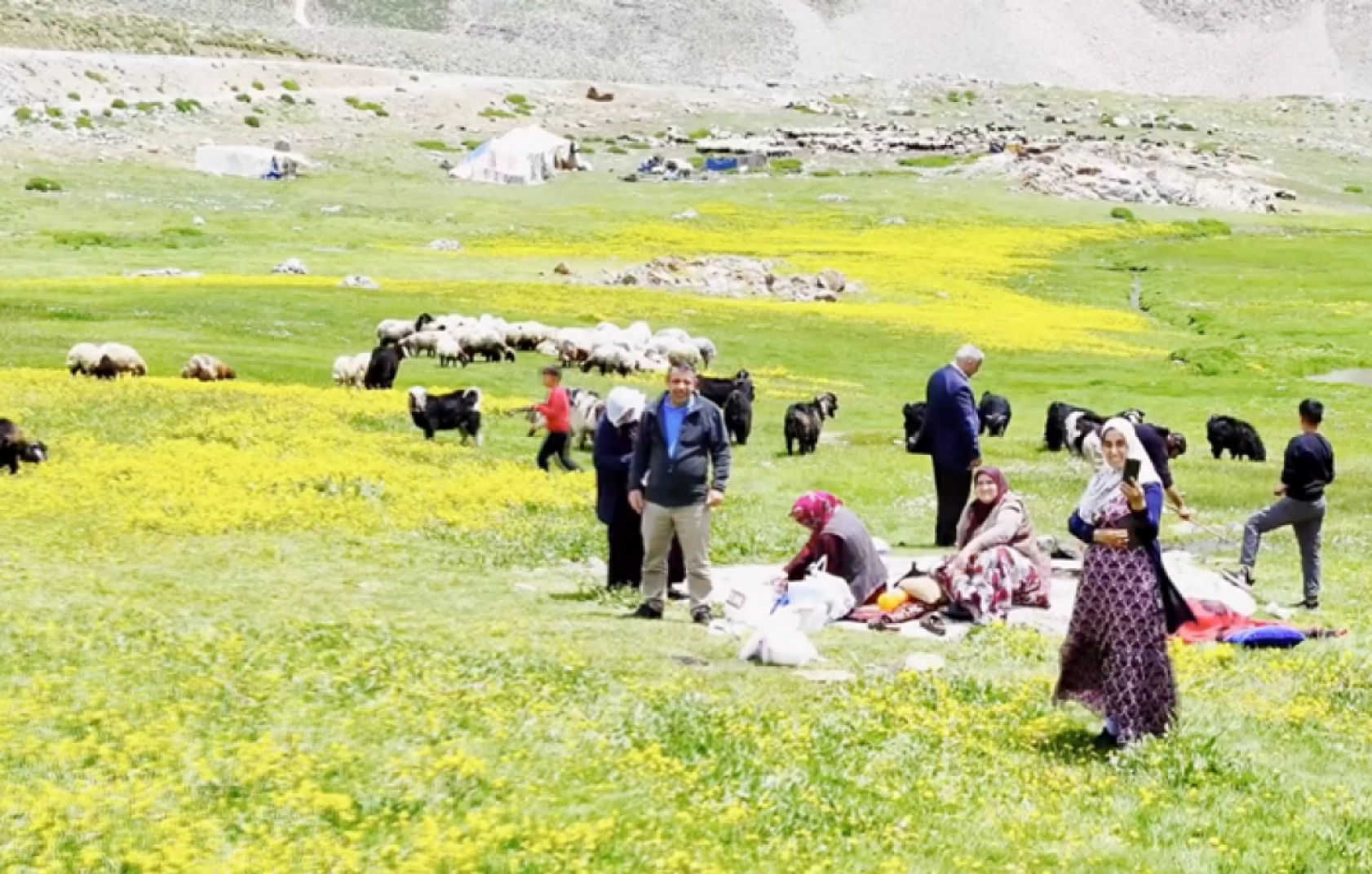 Havanın ısınmasıyla Van'ın yaylalarındaki hareketlilik arttı