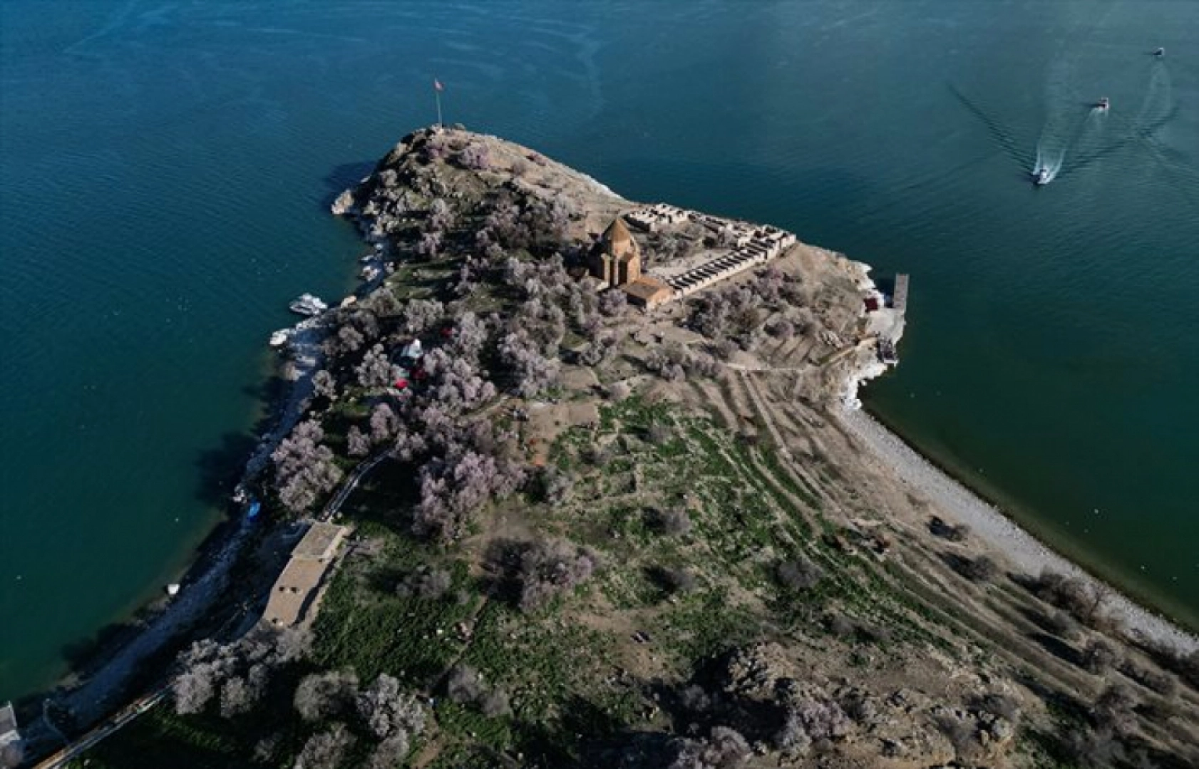 Çiçek açan badem ağaçları Akdamar Adası'nı renklendirdi