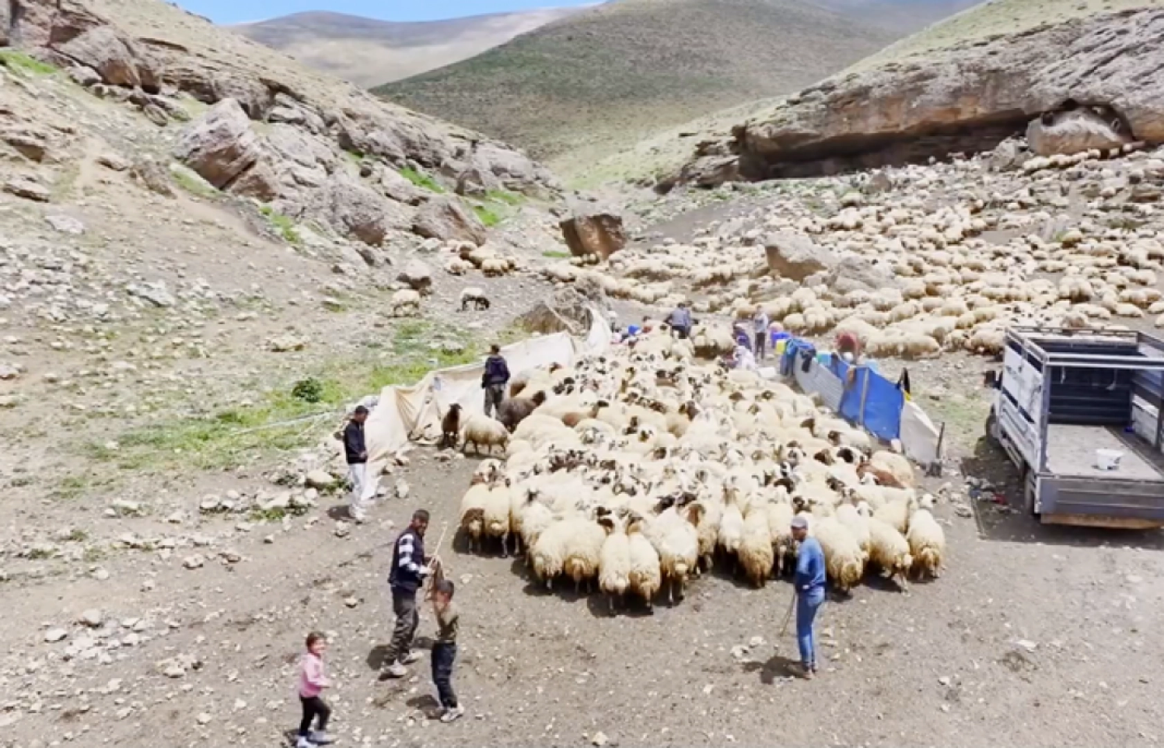 Havanın ısınmasıyla Van'ın yaylalarındaki hareketlilik arttı