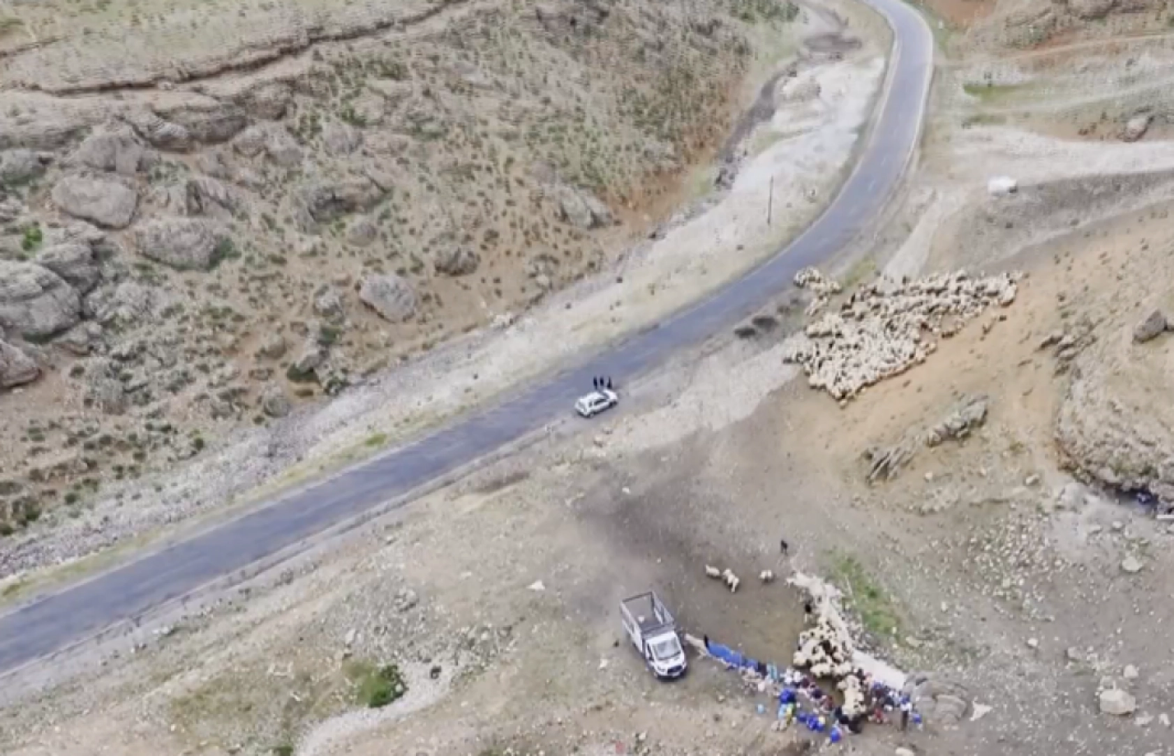 Havanın ısınmasıyla Van'ın yaylalarındaki hareketlilik arttı