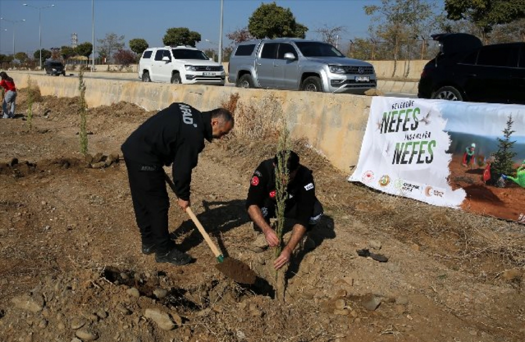 Muş'ta 11 bin fidan toprakla buluşturuldu