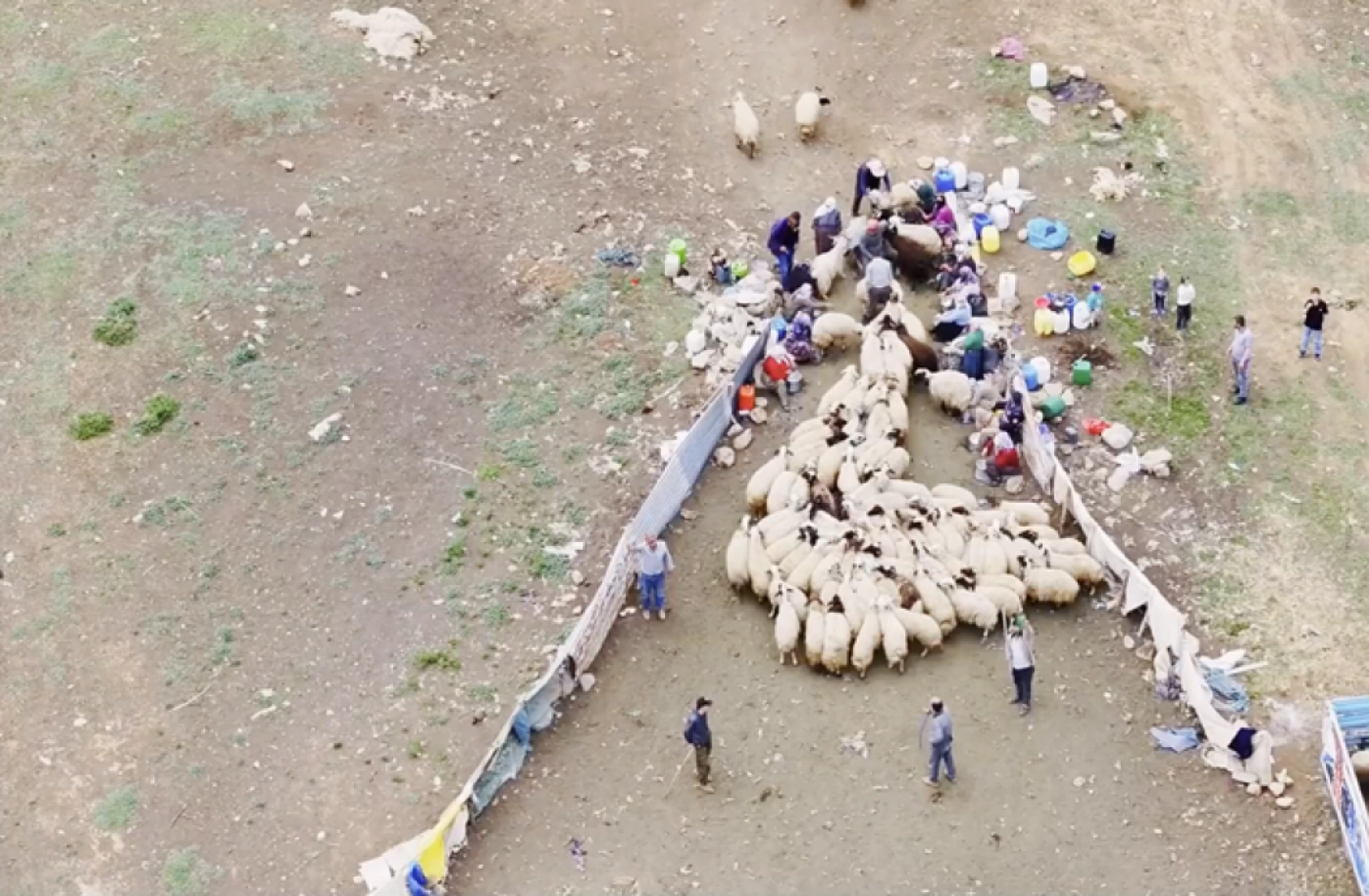 Havanın ısınmasıyla Van'ın yaylalarındaki hareketlilik arttı