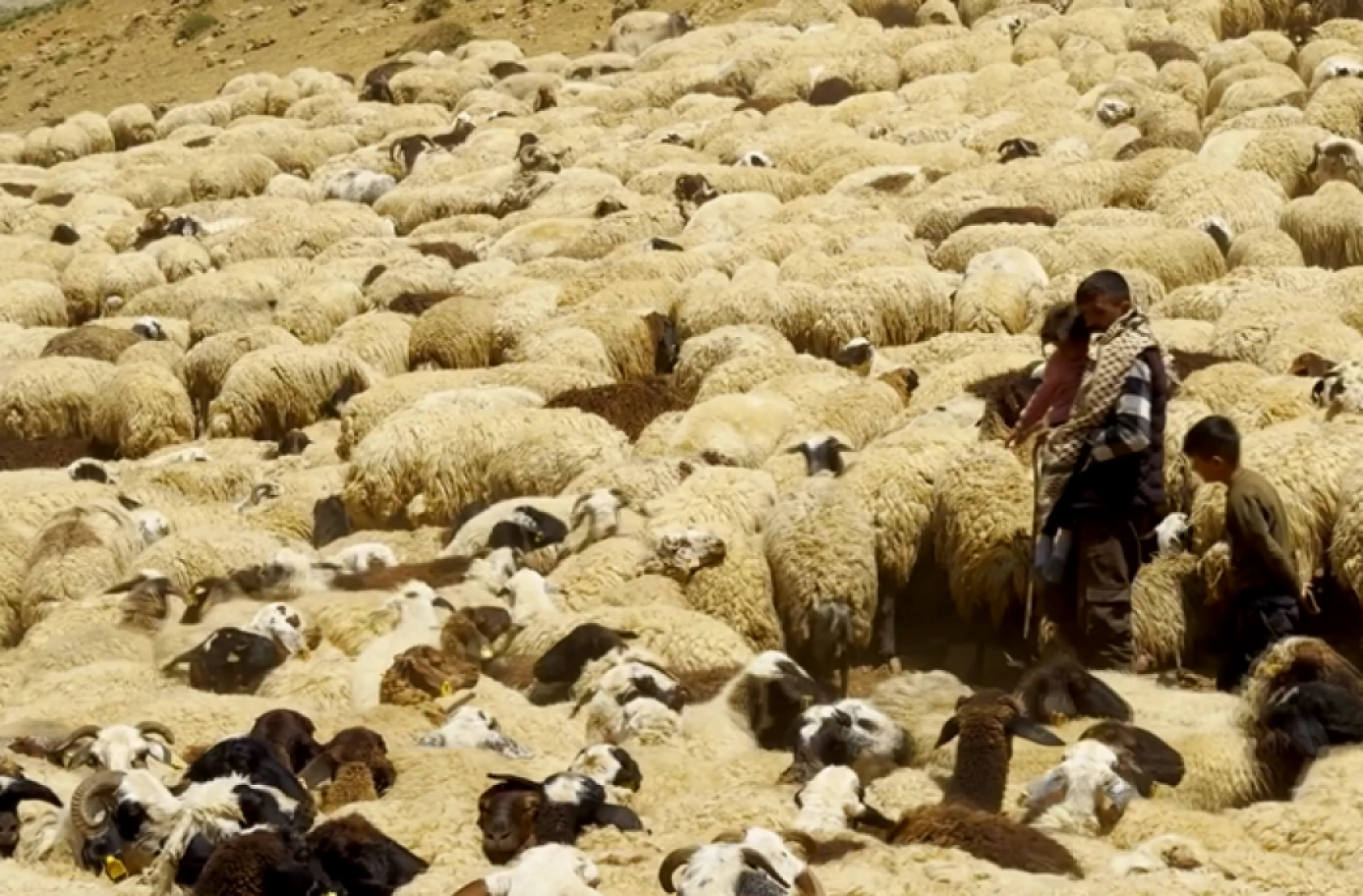Havanın ısınmasıyla Van'ın yaylalarındaki hareketlilik arttı