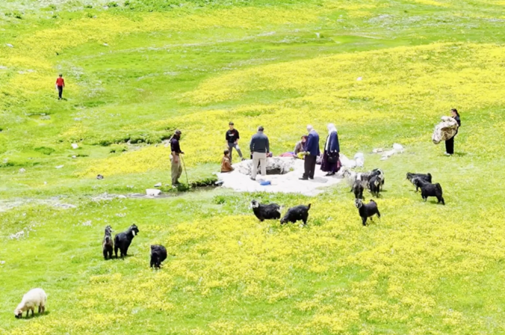 Havanın ısınmasıyla Van'ın yaylalarındaki hareketlilik arttı