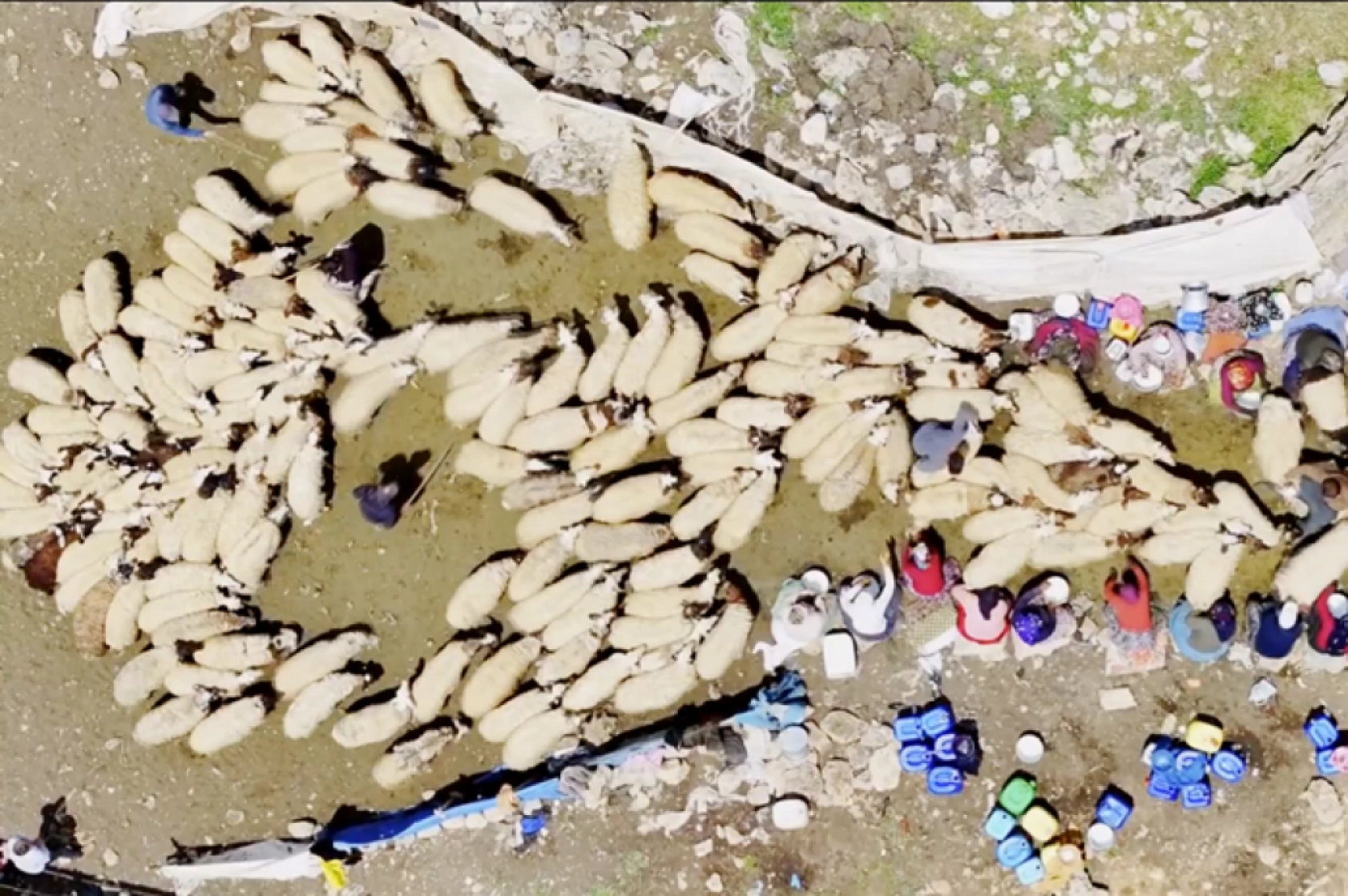 Havanın ısınmasıyla Van'ın yaylalarındaki hareketlilik arttı