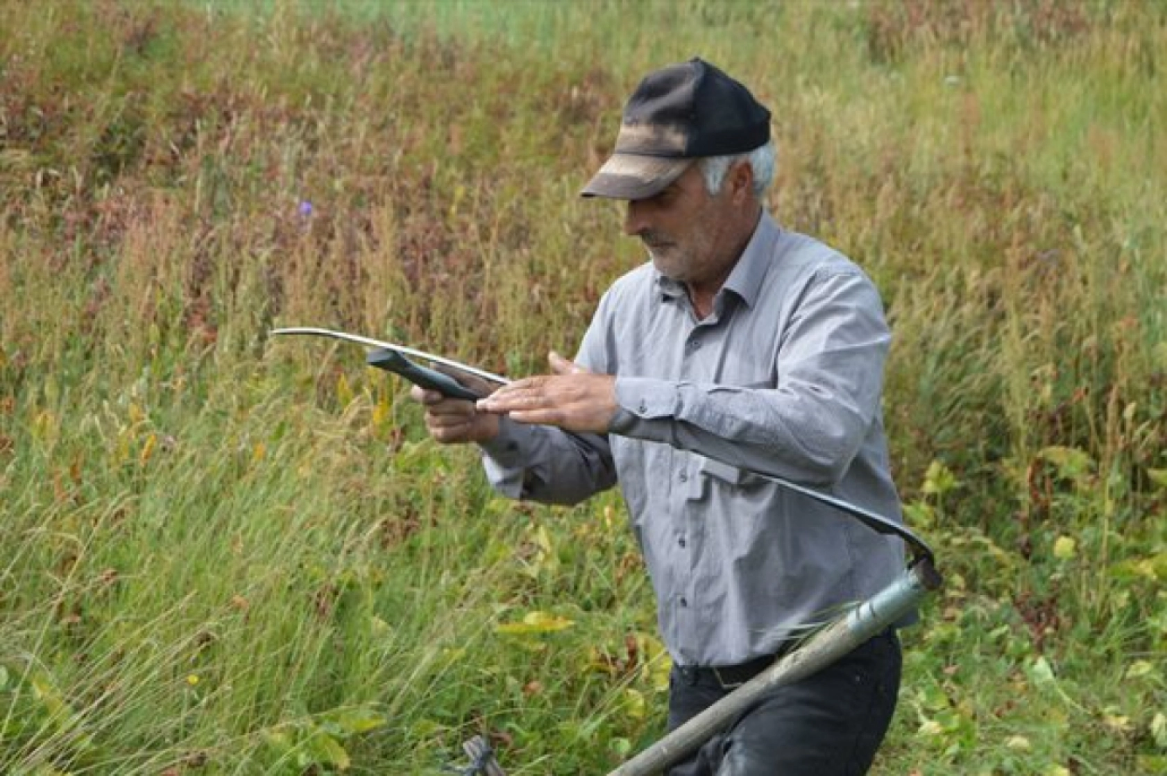 Güneş Altında Zorlu Ot Biçme Mesaisi Sürüyor