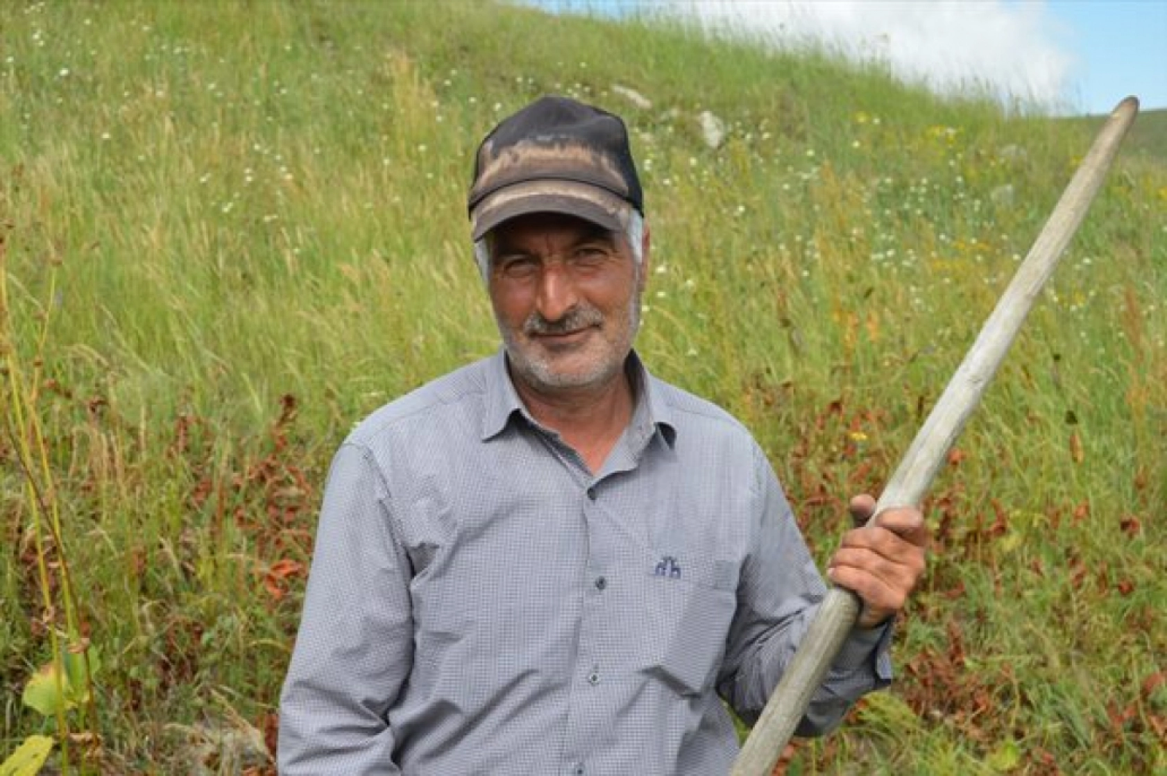 Güneş Altında Zorlu Ot Biçme Mesaisi Sürüyor