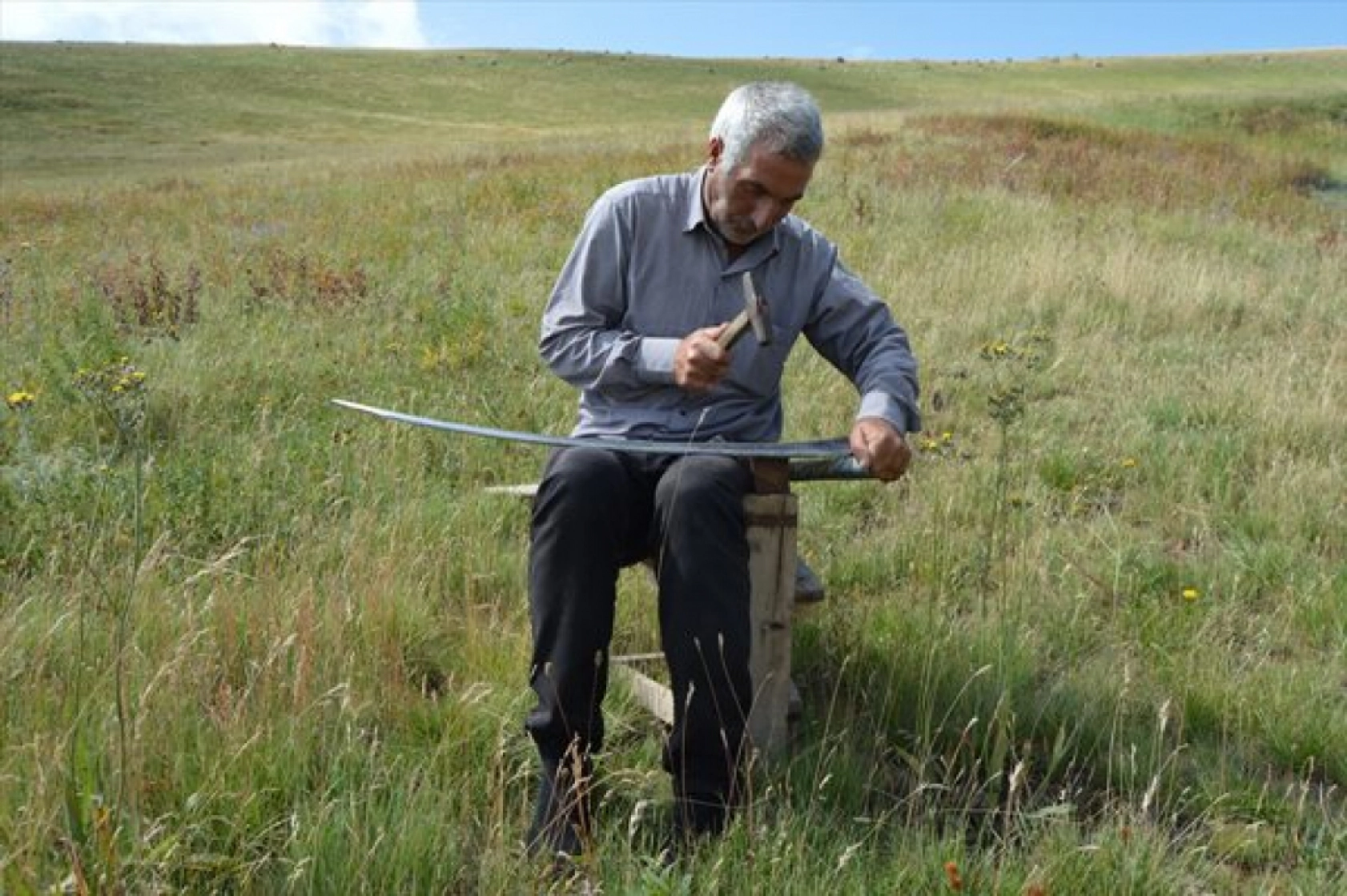 Güneş Altında Zorlu Ot Biçme Mesaisi Sürüyor