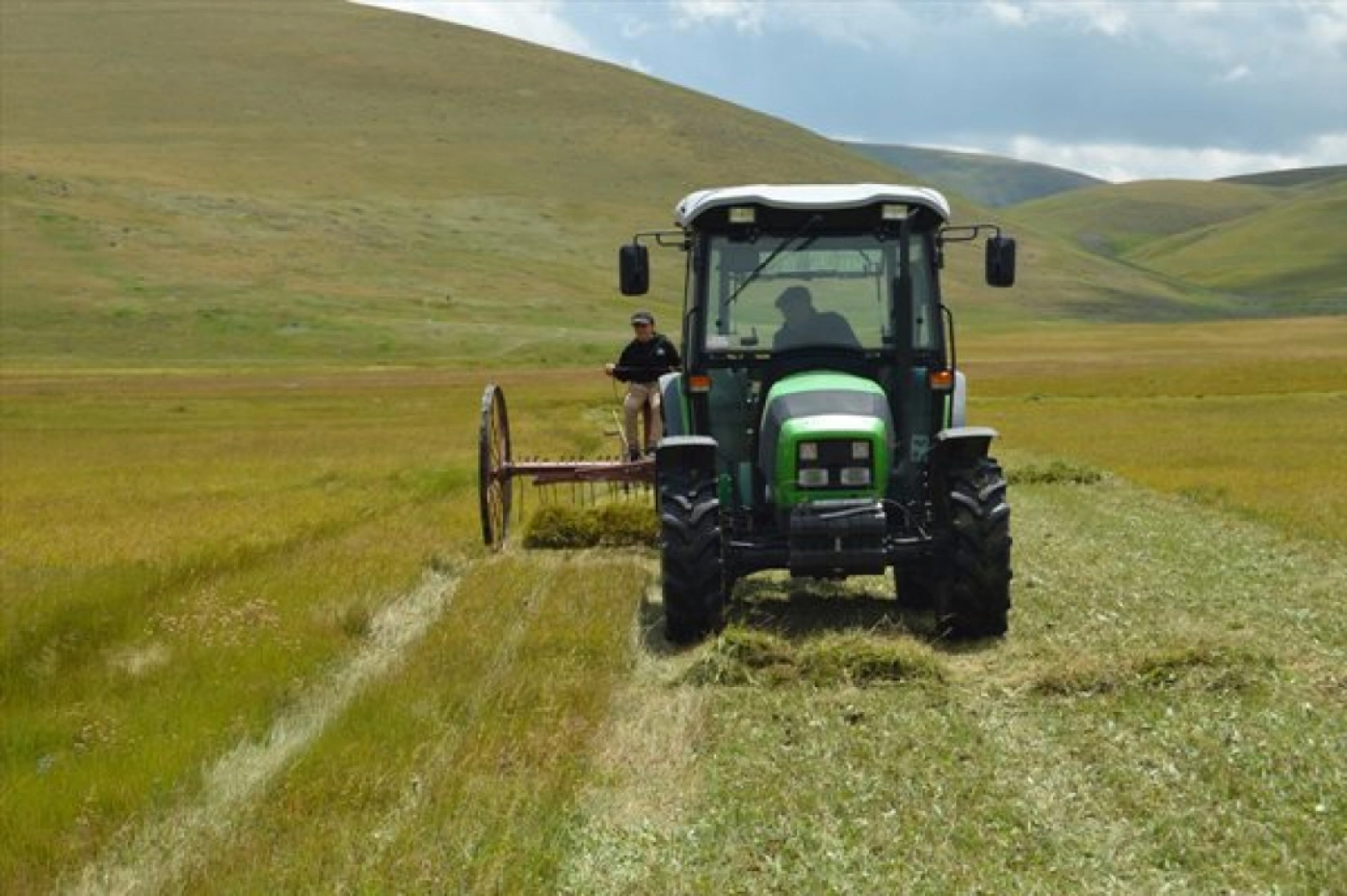 Güneş Altında Zorlu Ot Biçme Mesaisi Sürüyor