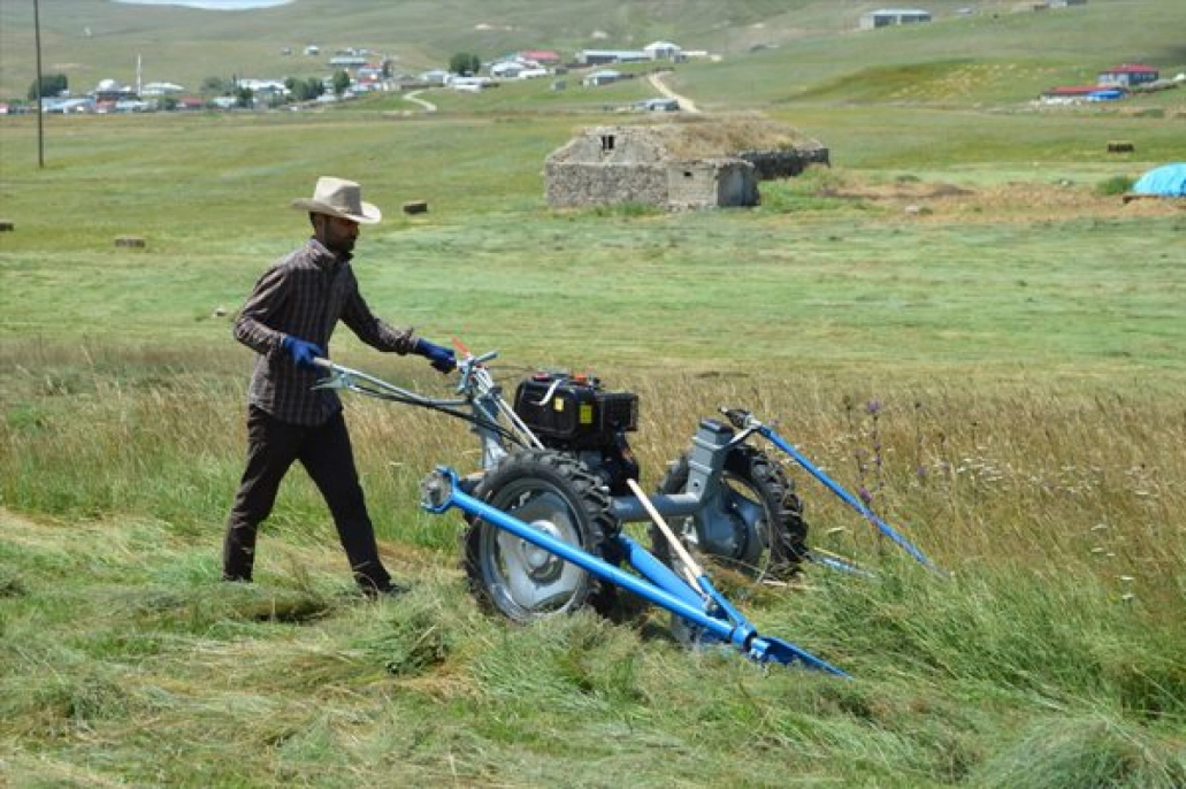 Güneş Altında Zorlu Ot Biçme Mesaisi Sürüyor