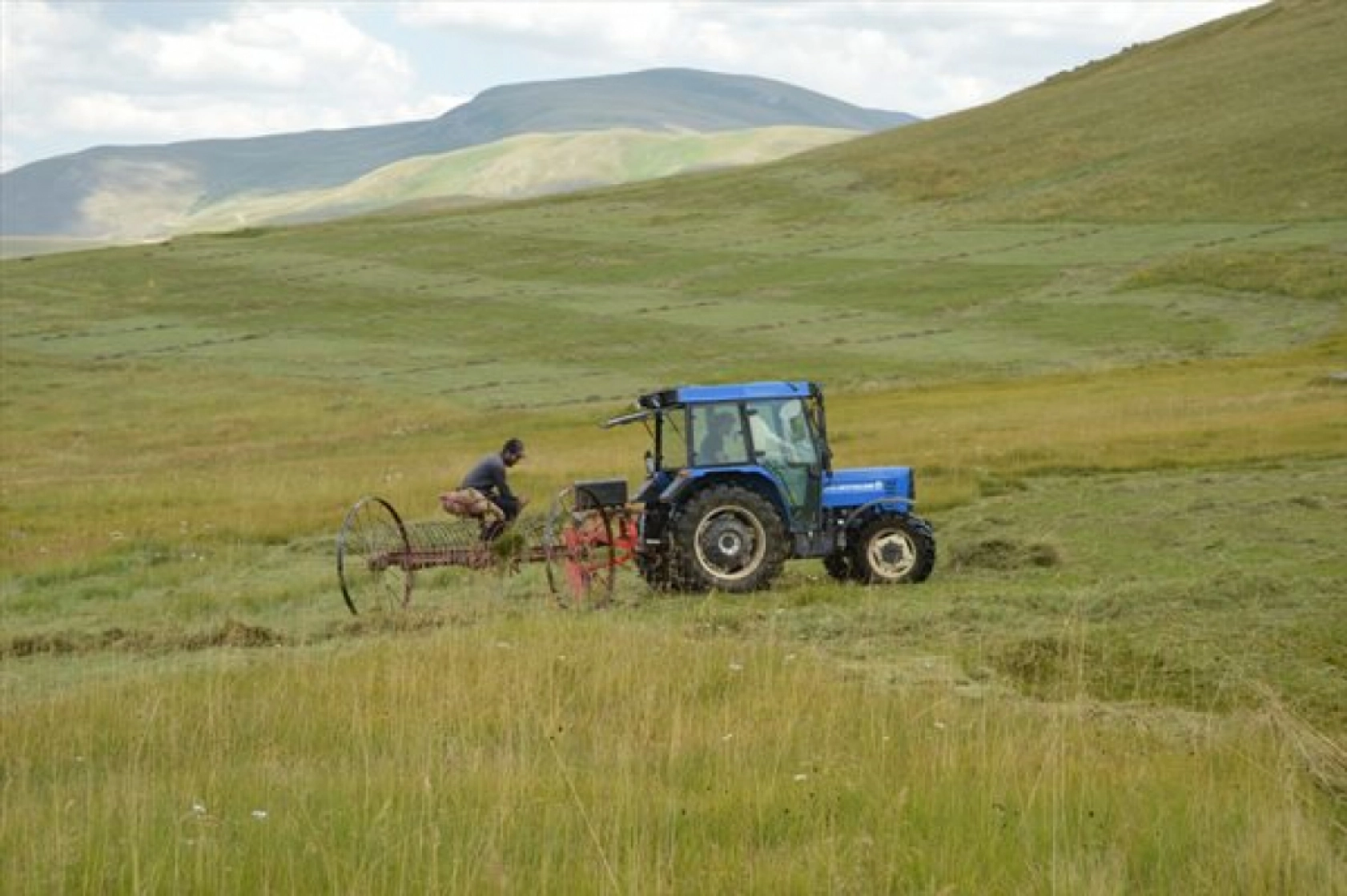 Güneş Altında Zorlu Ot Biçme Mesaisi Sürüyor
