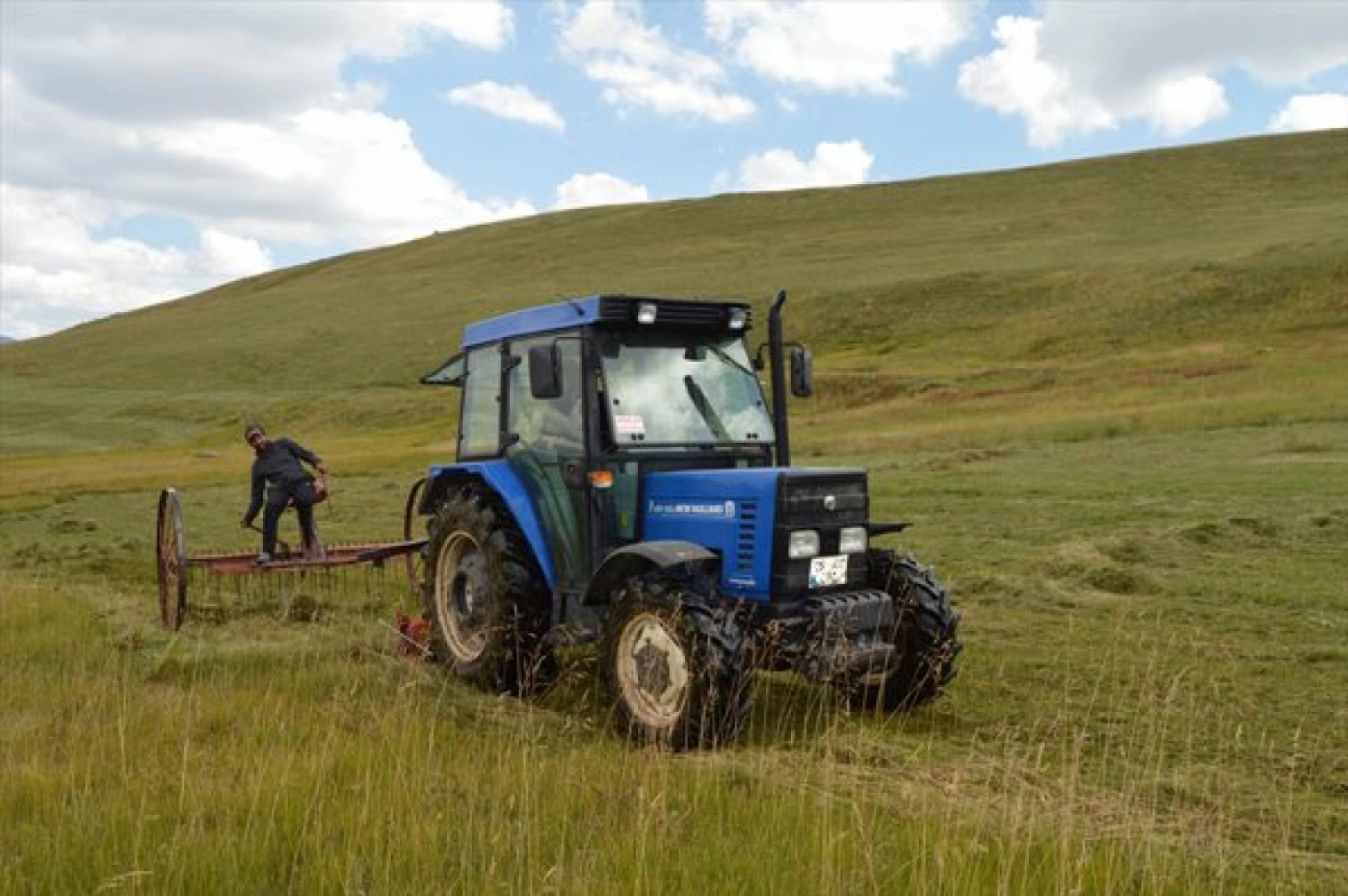 Güneş Altında Zorlu Ot Biçme Mesaisi Sürüyor