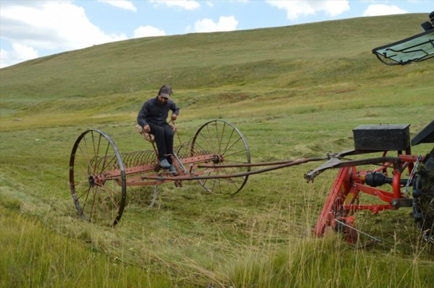Güneş Altında Zorlu Ot Biçme Mesaisi Sürüyor