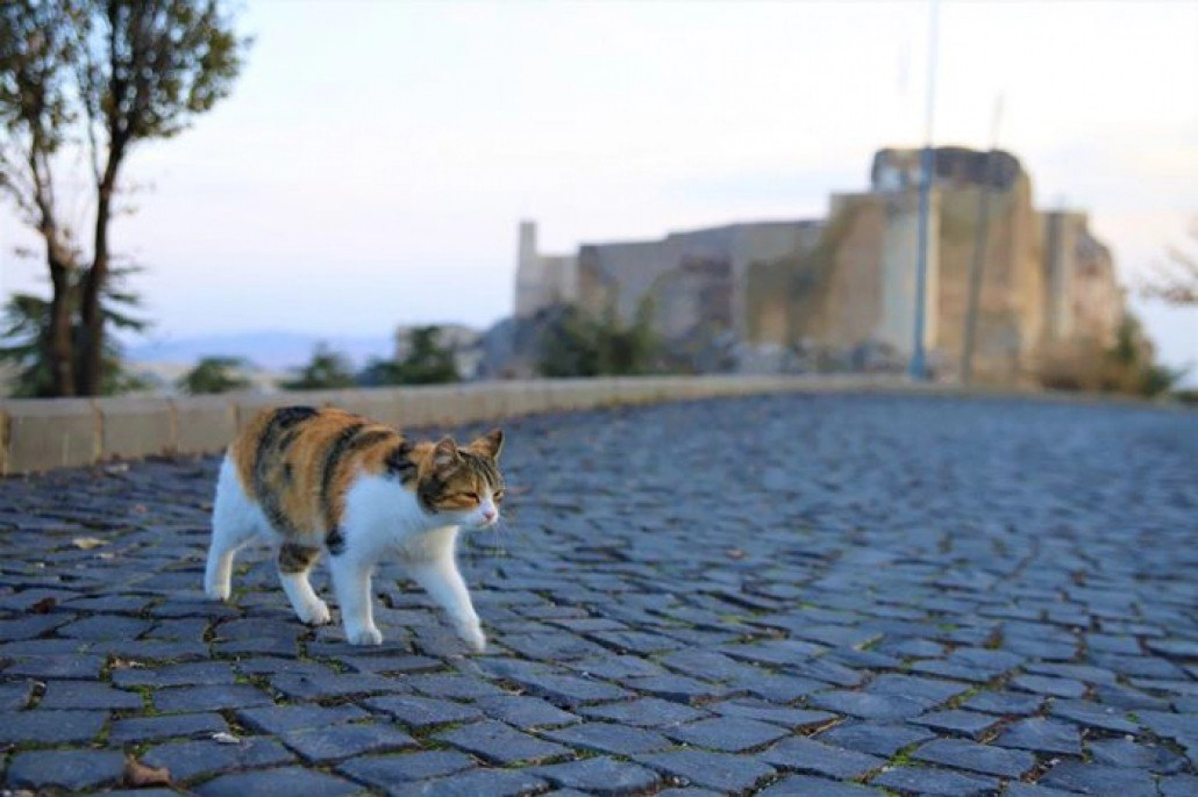 Harput'ta sonbahar güzelliği