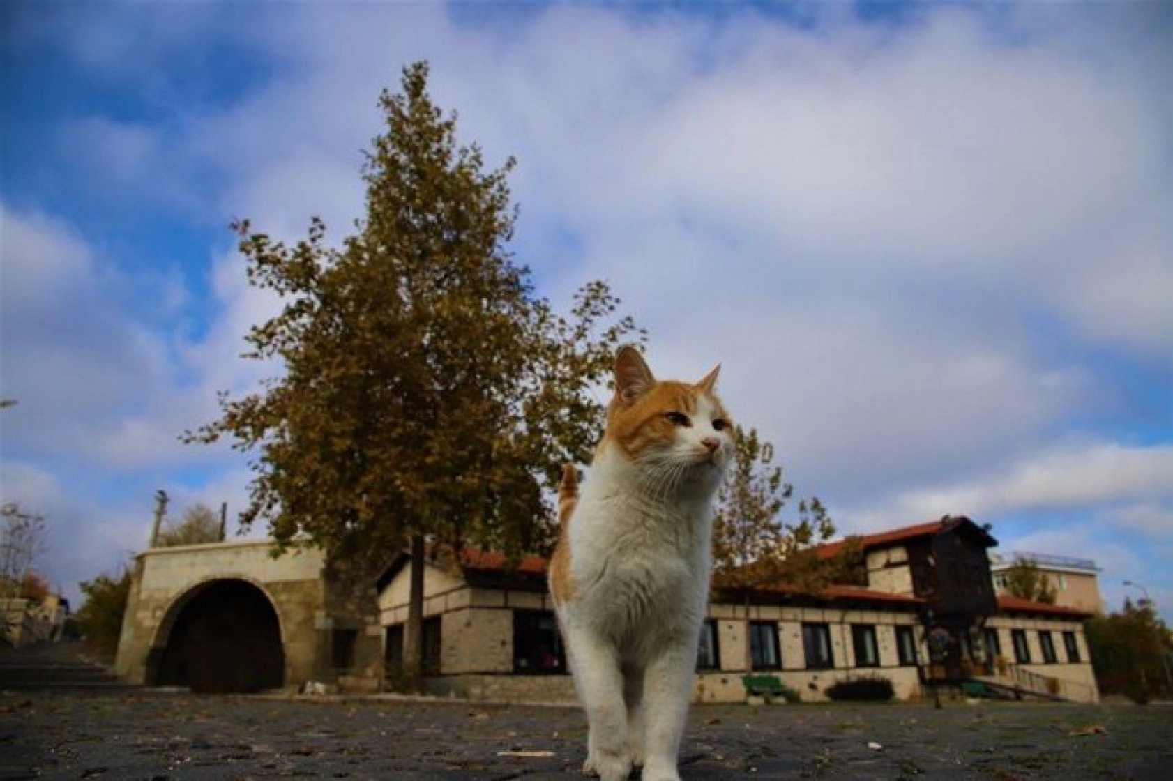 Harput'ta sonbahar güzelliği
