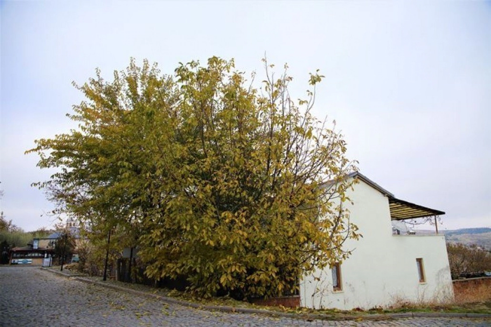 Harput'ta sonbahar güzelliği