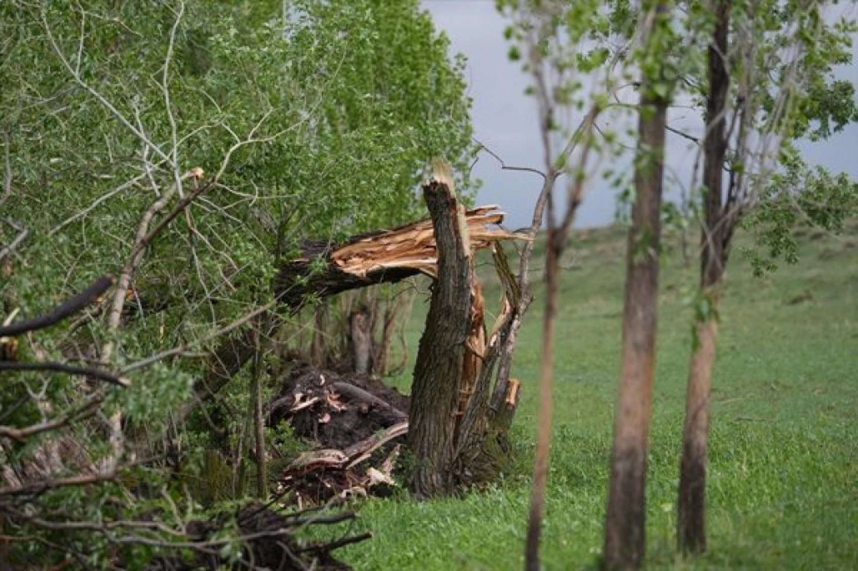 Erzurum'da hortum çatıları uçurdu