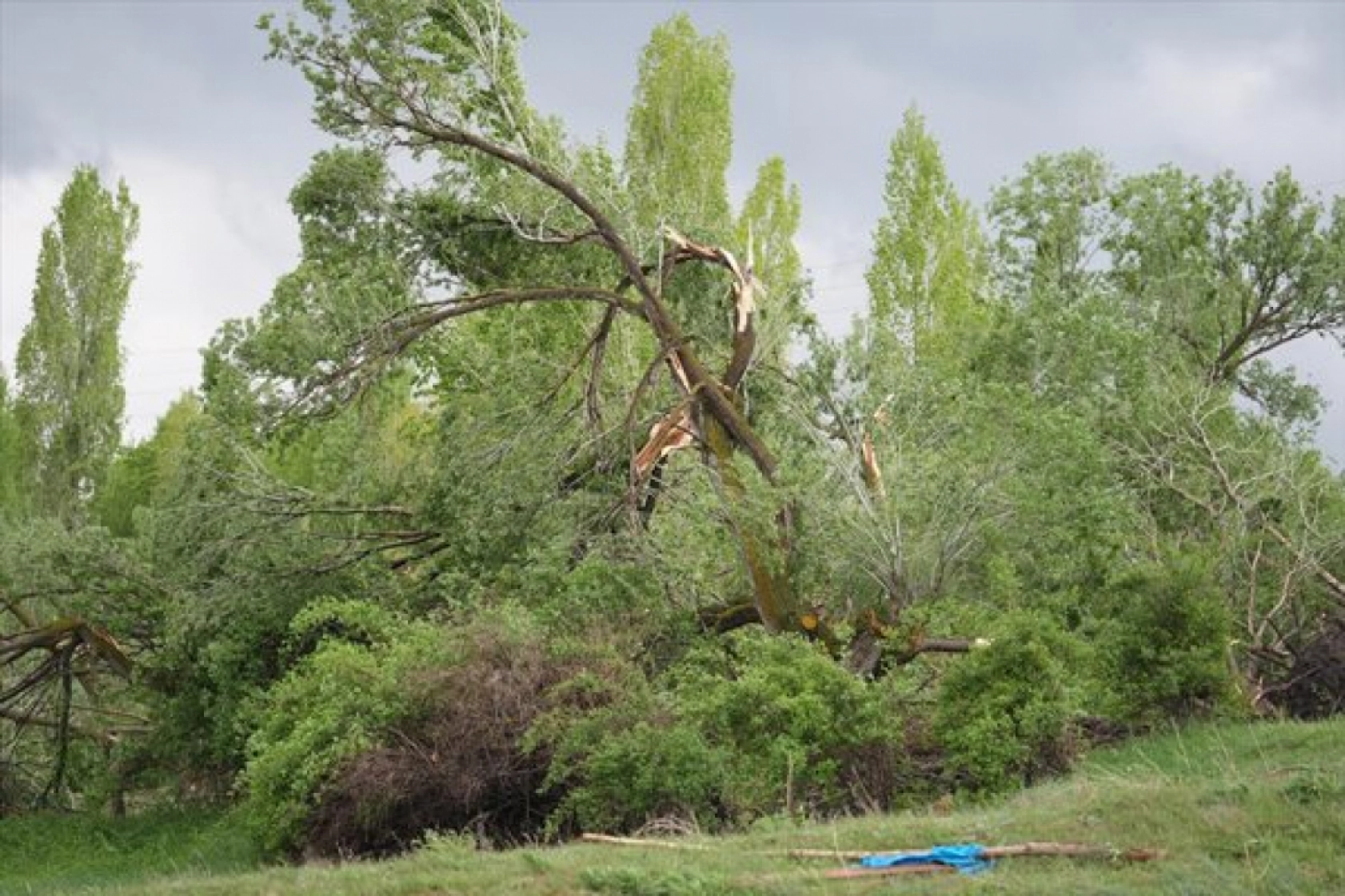 Erzurum'da hortum çatıları uçurdu