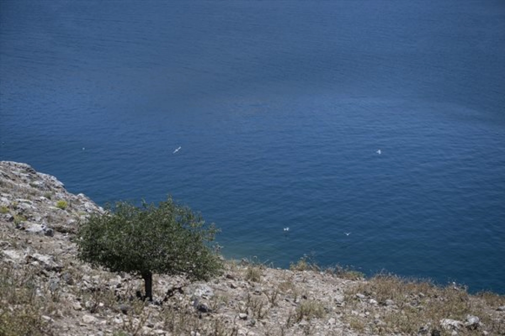 Van Gölü'ndeki Akdamar Adası