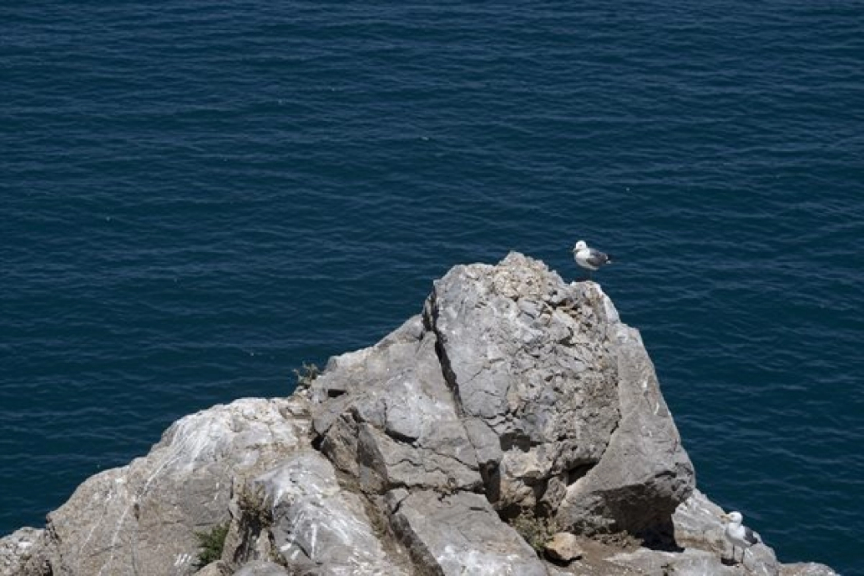 Van Gölü'ndeki Akdamar Adası
