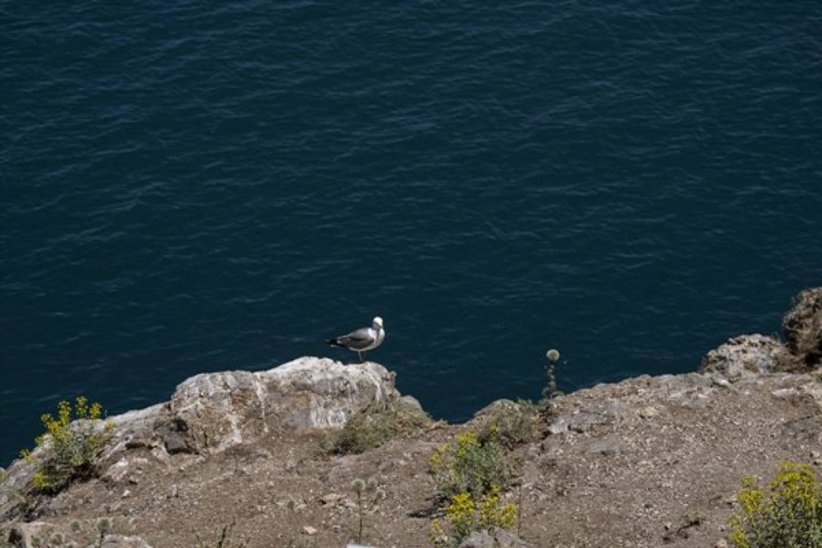 Van Gölü'ndeki Akdamar Adası