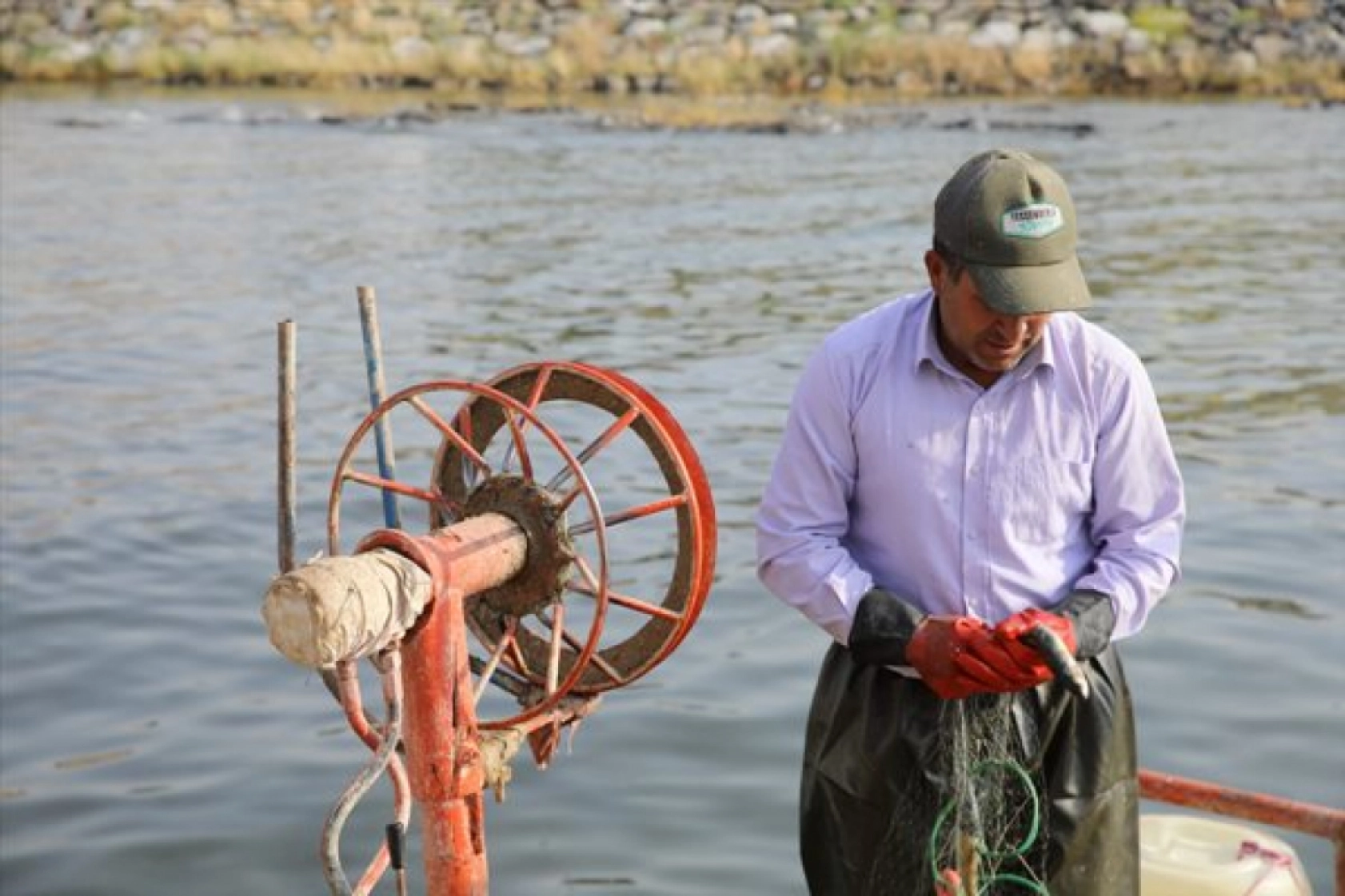 Balıkçılar 'vira bismillah' diyerek Van Gölü'ne ağlarını bıraktı