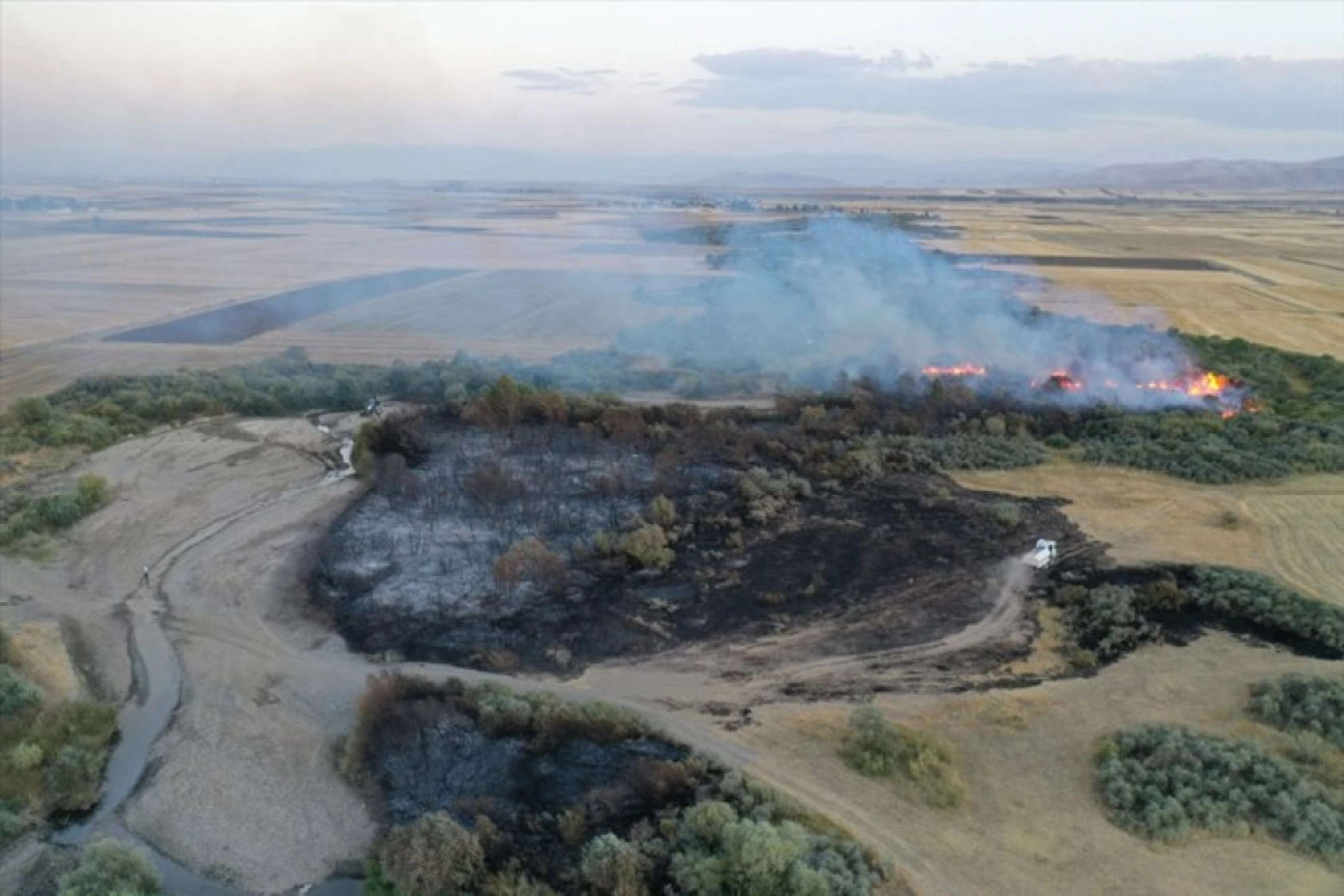 Ağrı'da ağaçlık alanda çıkan yangına müdahale ediliyor