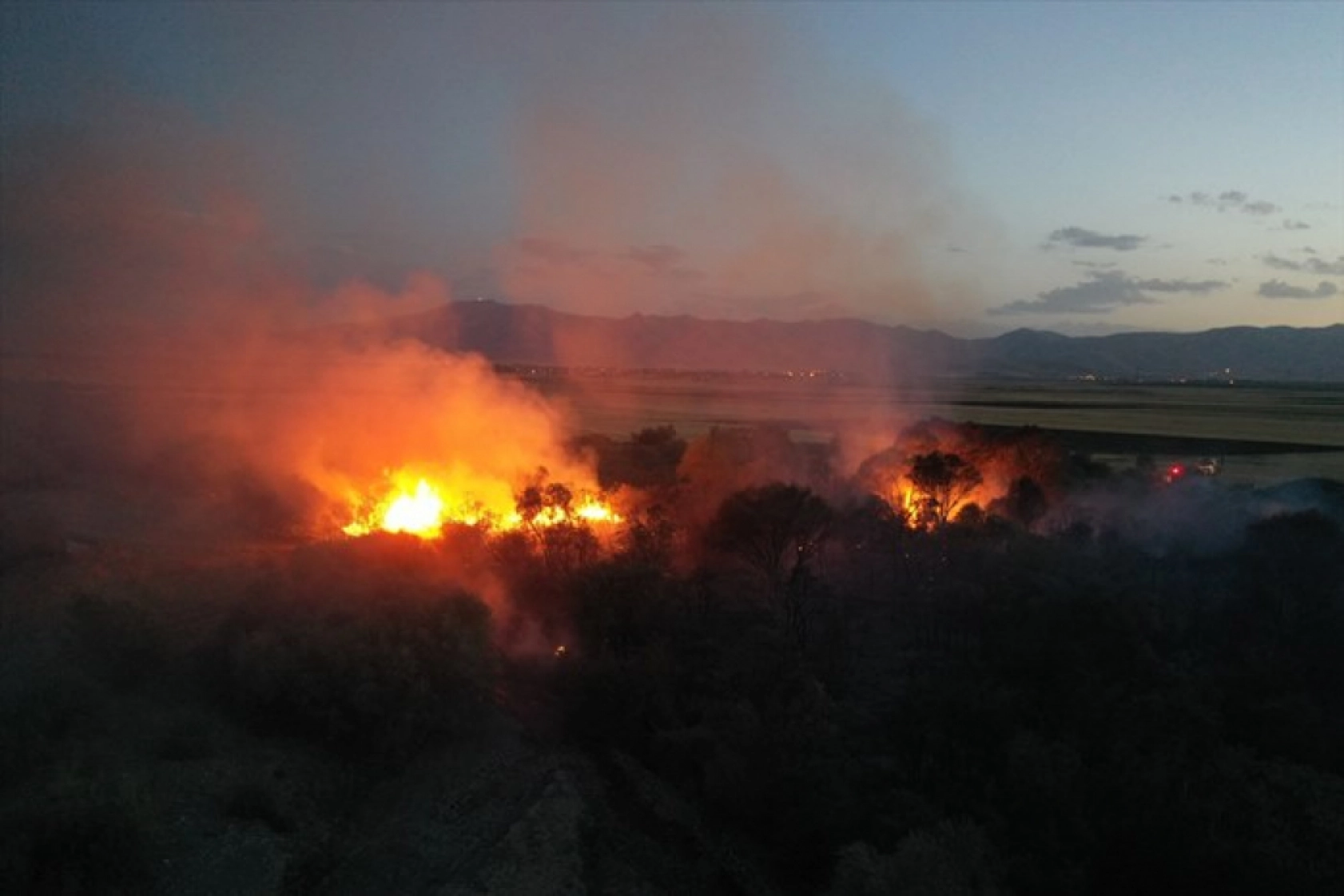 Ağrı'da ağaçlık alanda çıkan yangına müdahale ediliyor