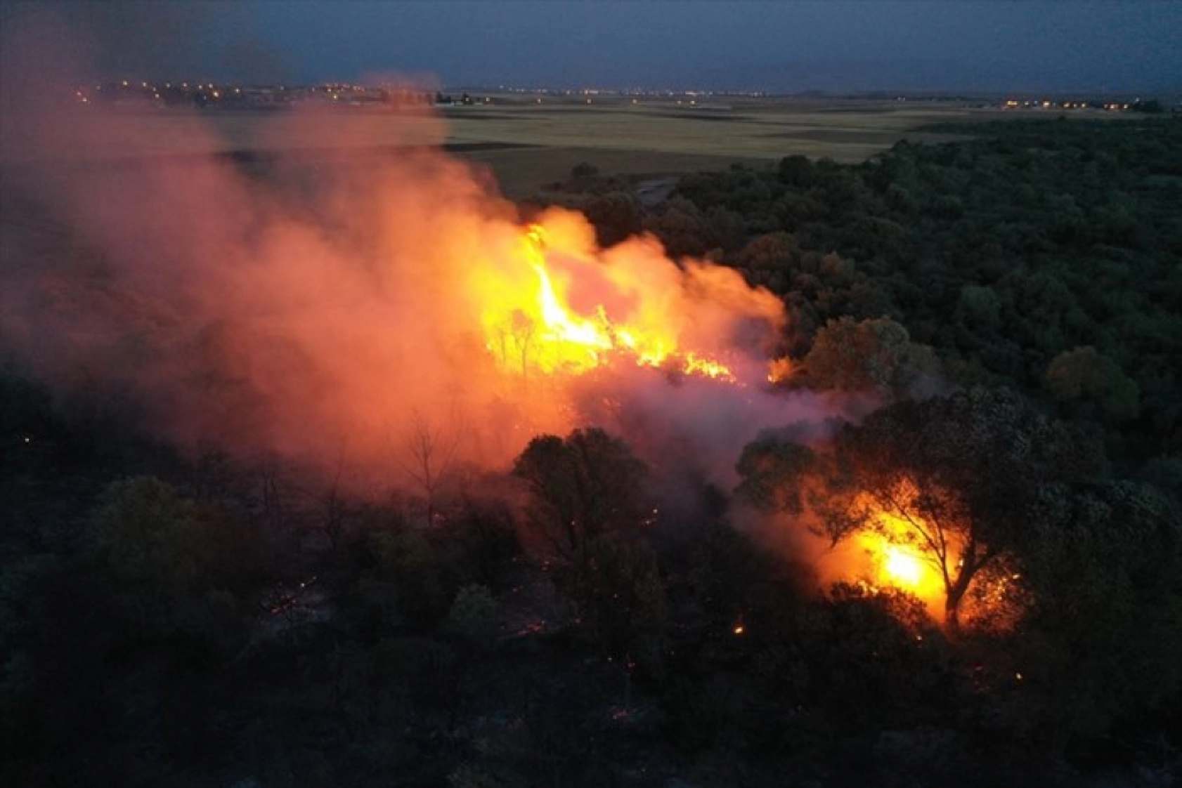 Ağrı'da ağaçlık alanda çıkan yangına müdahale ediliyor