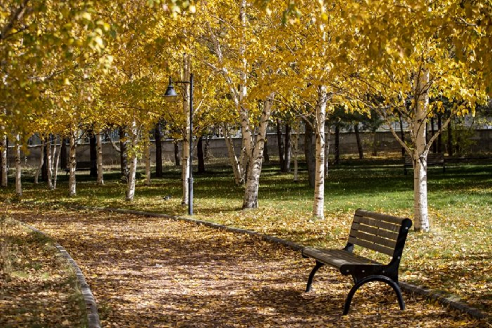 Atatürk Üniversitesi yerleşkesi ve Ata Botanik Bahçe'de sonbahar renkleri hakim oldu