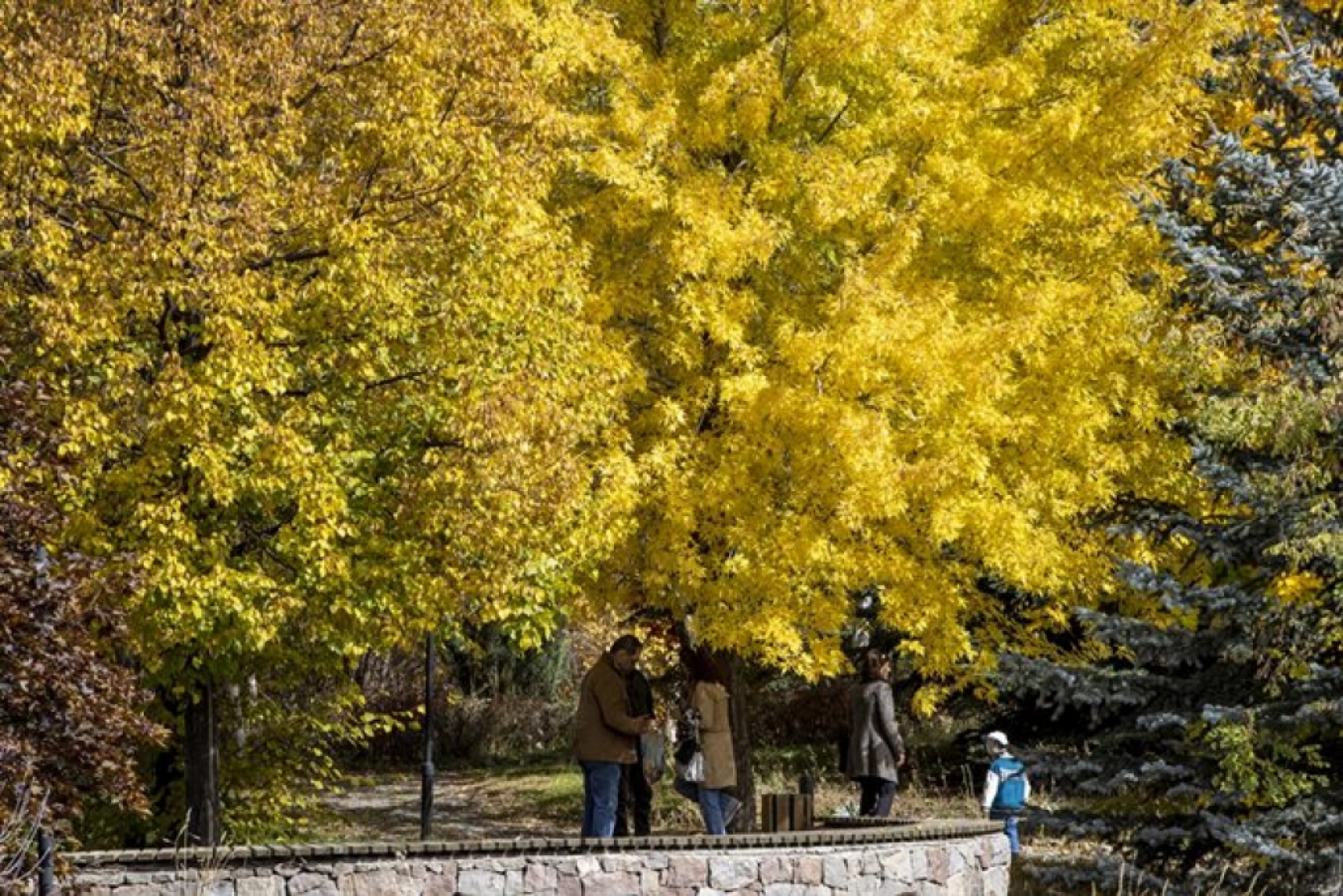 Atatürk Üniversitesi yerleşkesi ve Ata Botanik Bahçe'de sonbahar renkleri hakim oldu