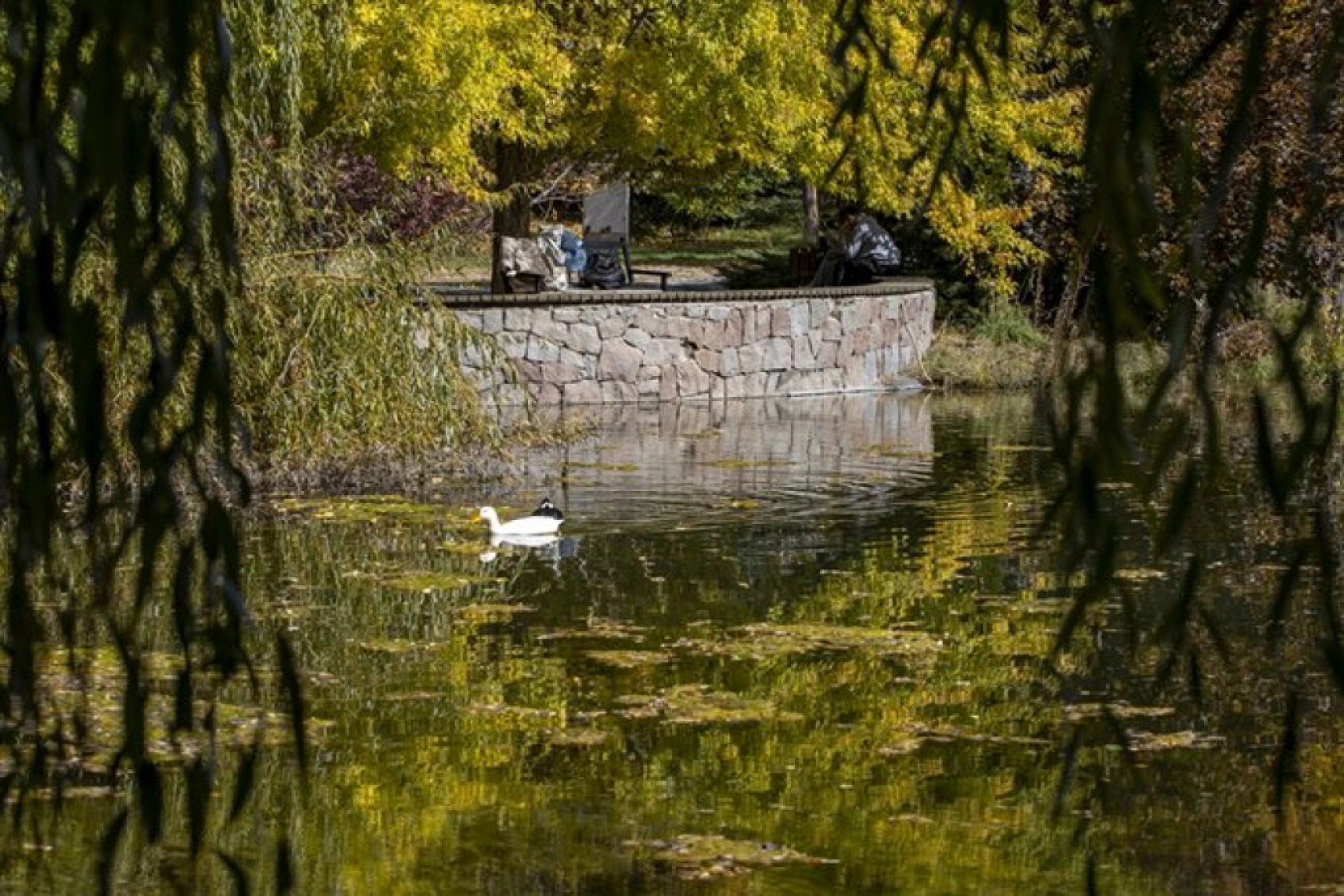 Atatürk Üniversitesi yerleşkesi ve Ata Botanik Bahçe'de sonbahar renkleri hakim oldu