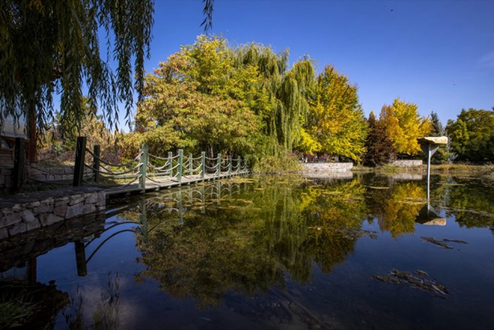 Atatürk Üniversitesi yerleşkesi ve Ata Botanik Bahçe'de sonbahar renkleri hakim oldu